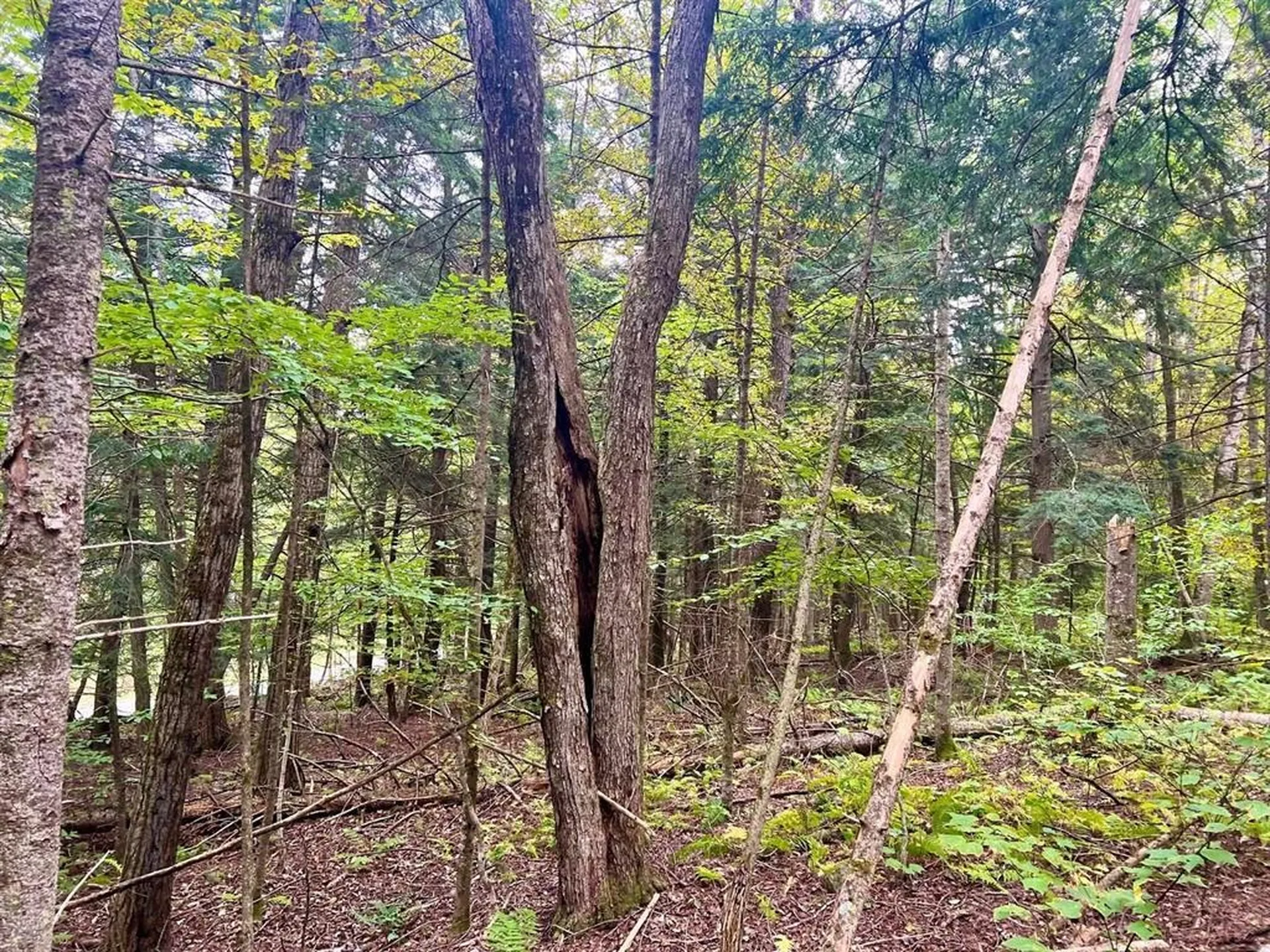 0 Kidder Road Bradford VT 05033