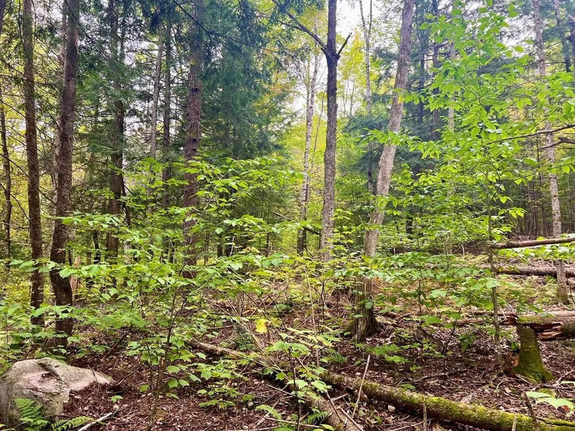 0 Kidder Road Bradford VT 05033