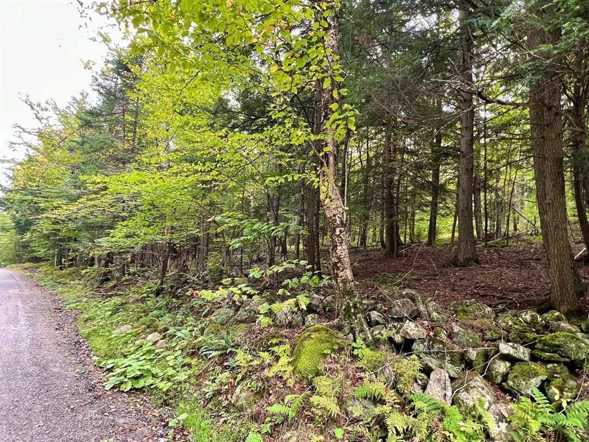 0 Kidder Road Bradford VT 05033