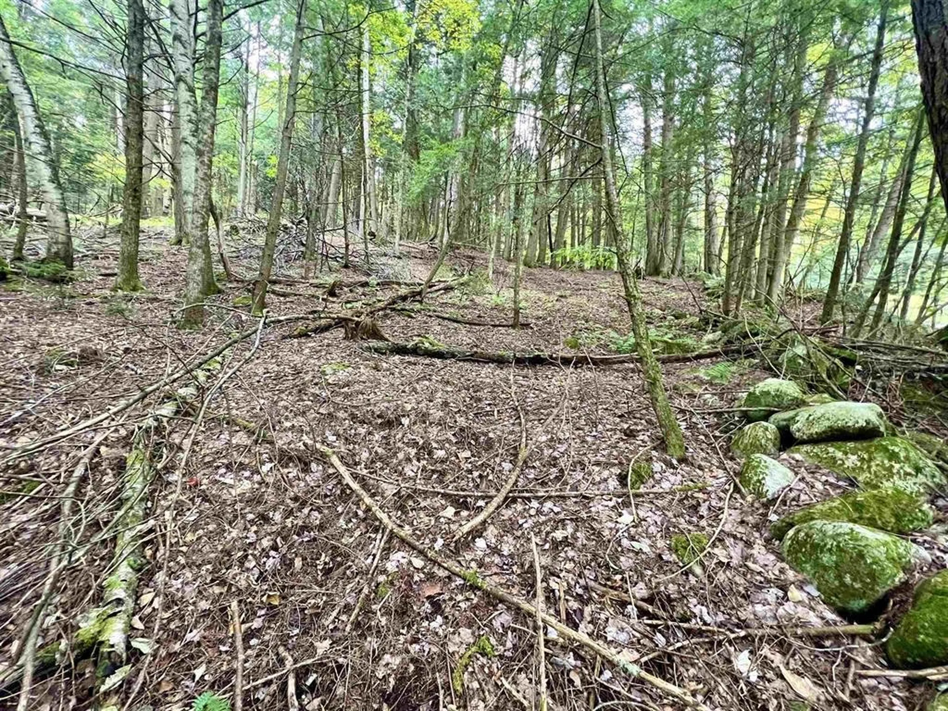 0 Kidder Road Bradford VT 05033