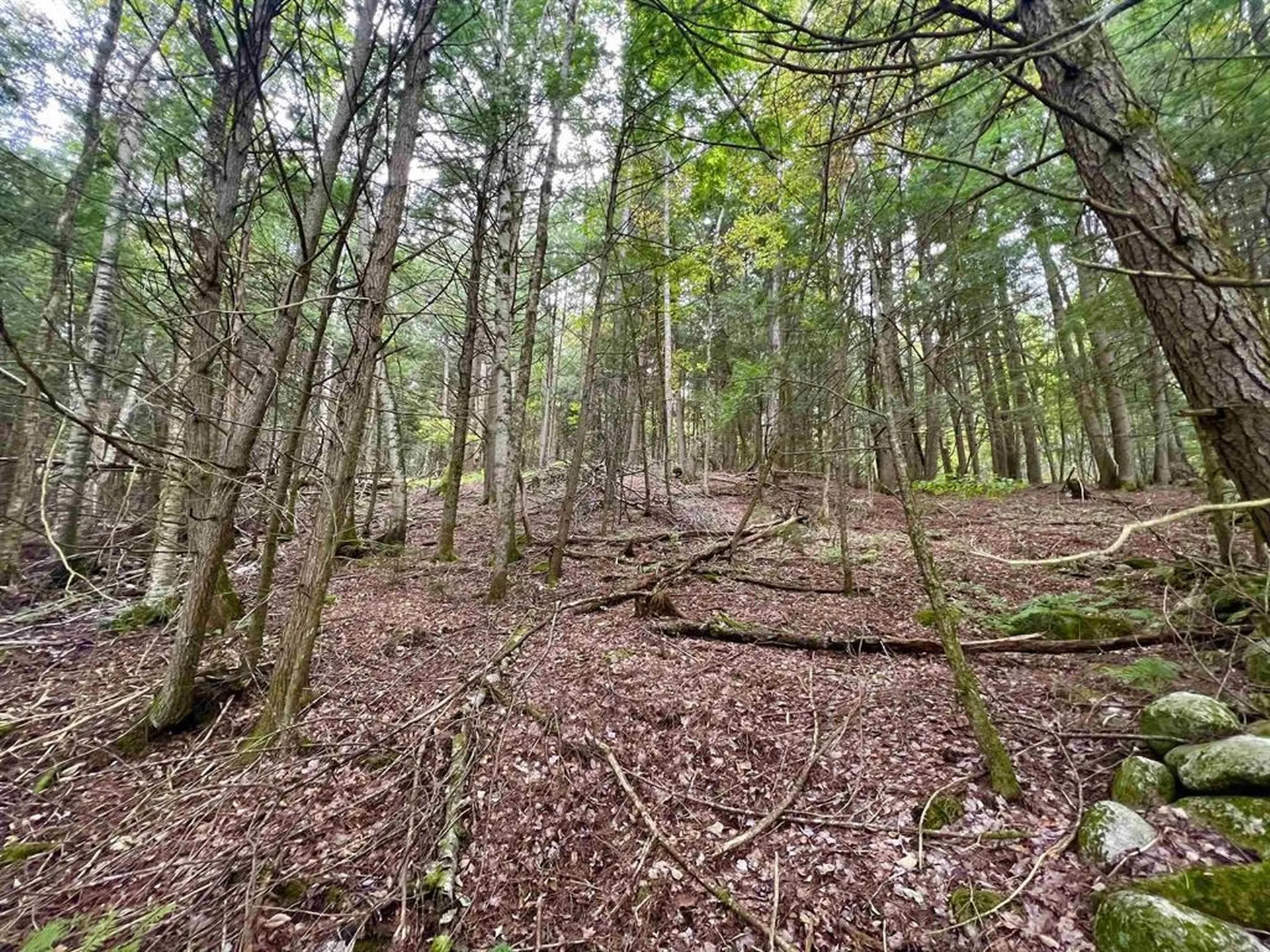 0 Kidder Road Bradford VT 05033