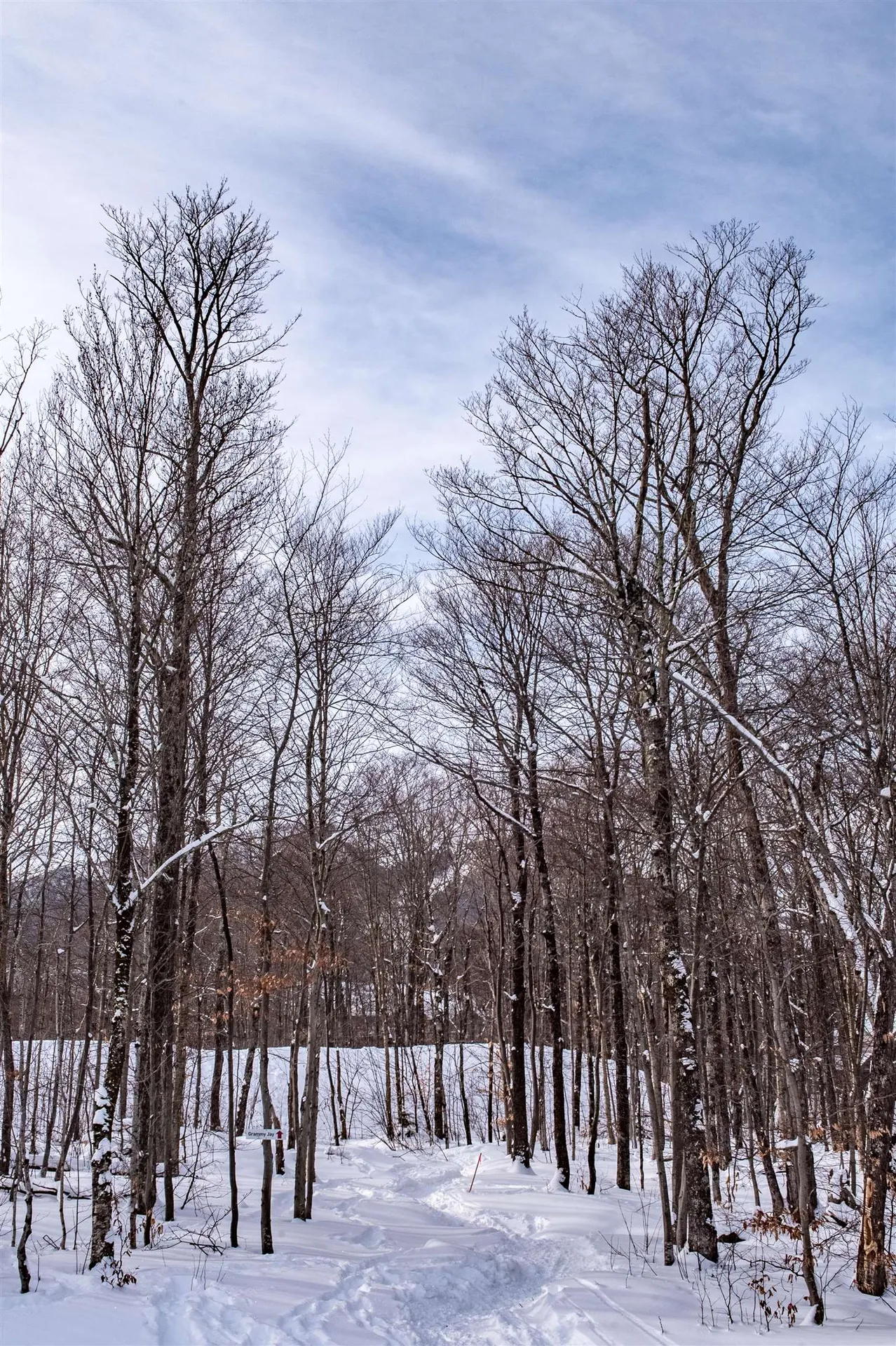 319 Jay Peak Road Jay VT 05859