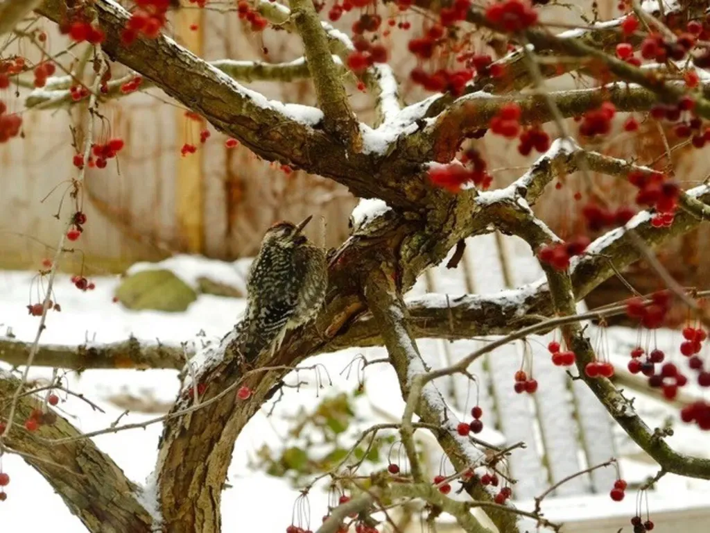 18 Summer Street Montpelier VT 05602