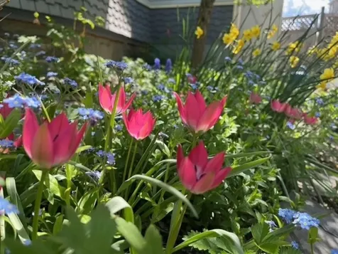 18 Summer Street Montpelier VT 05602