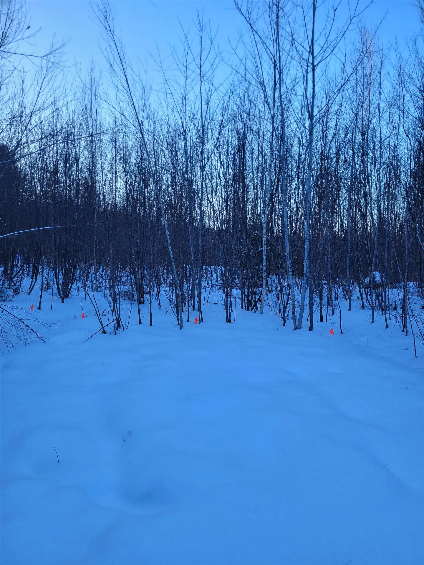 170 S. Whitefield Road Whitefield NH 03598