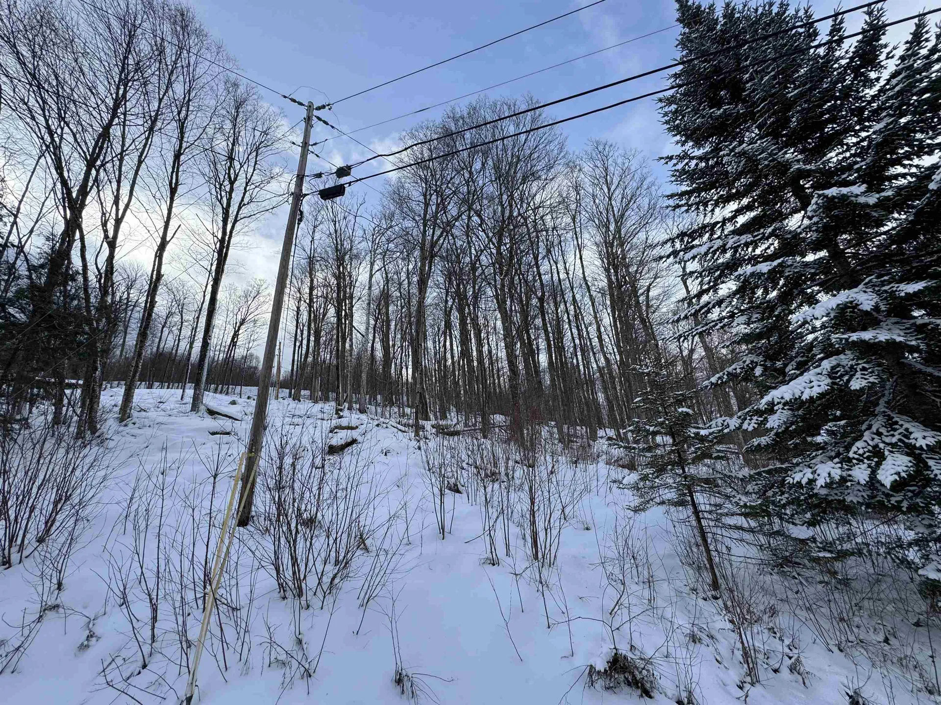 Lot 12 Barrows Towne Road Killington VT 05751