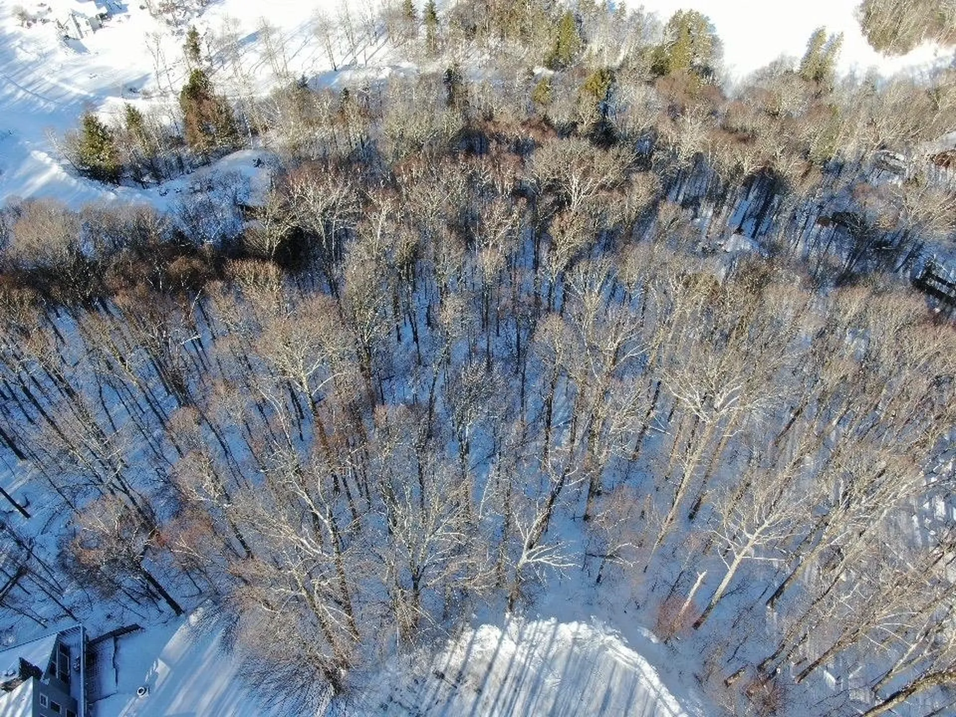 Lot 12 Barrows Towne Road Killington VT 05751