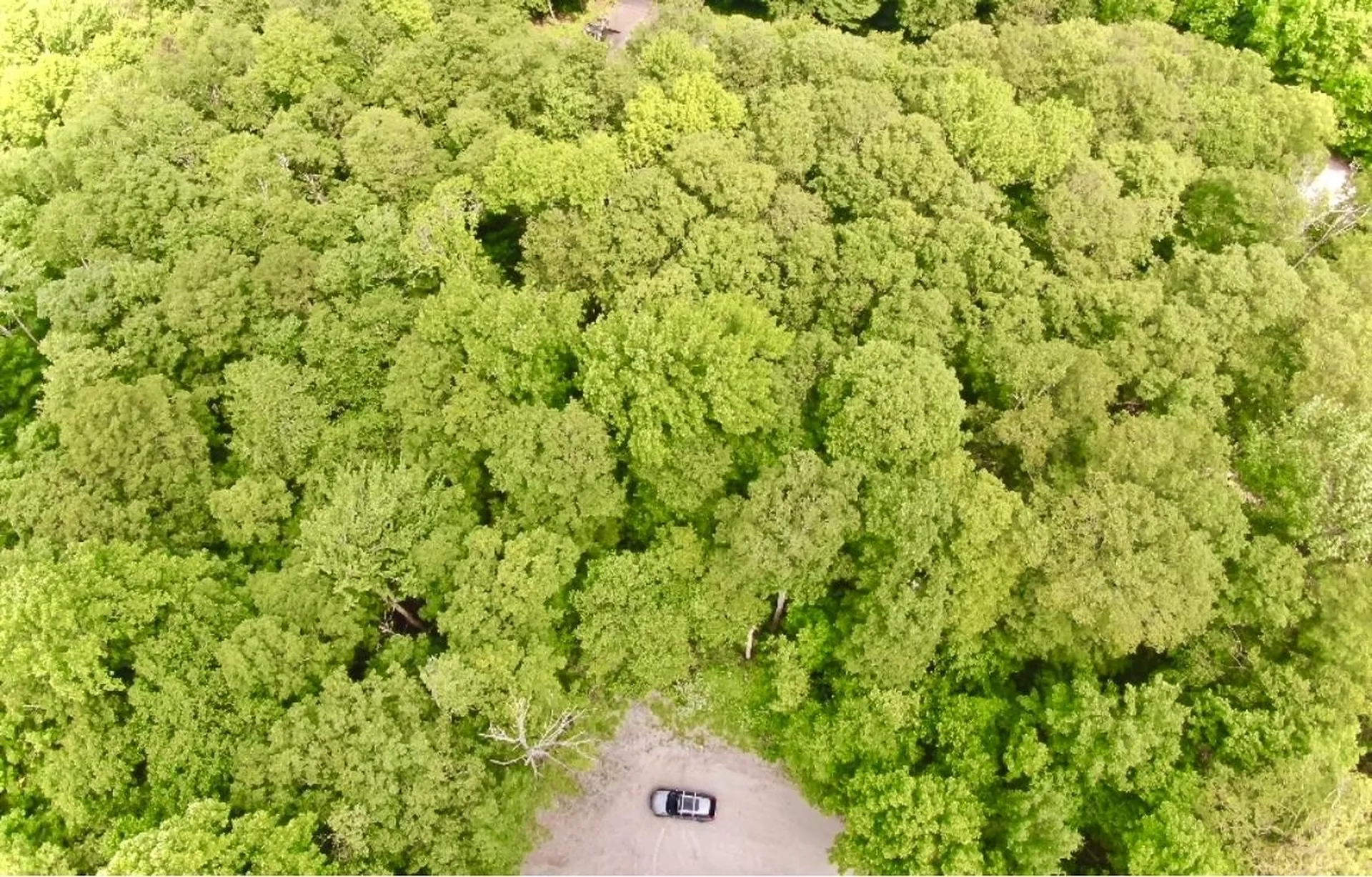 Lot 12 Barrows Towne Road Killington VT 05751