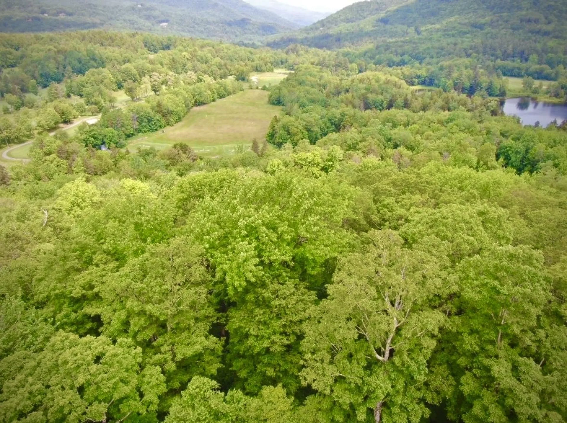 Lot 12 Barrows Towne Road Killington VT 05751