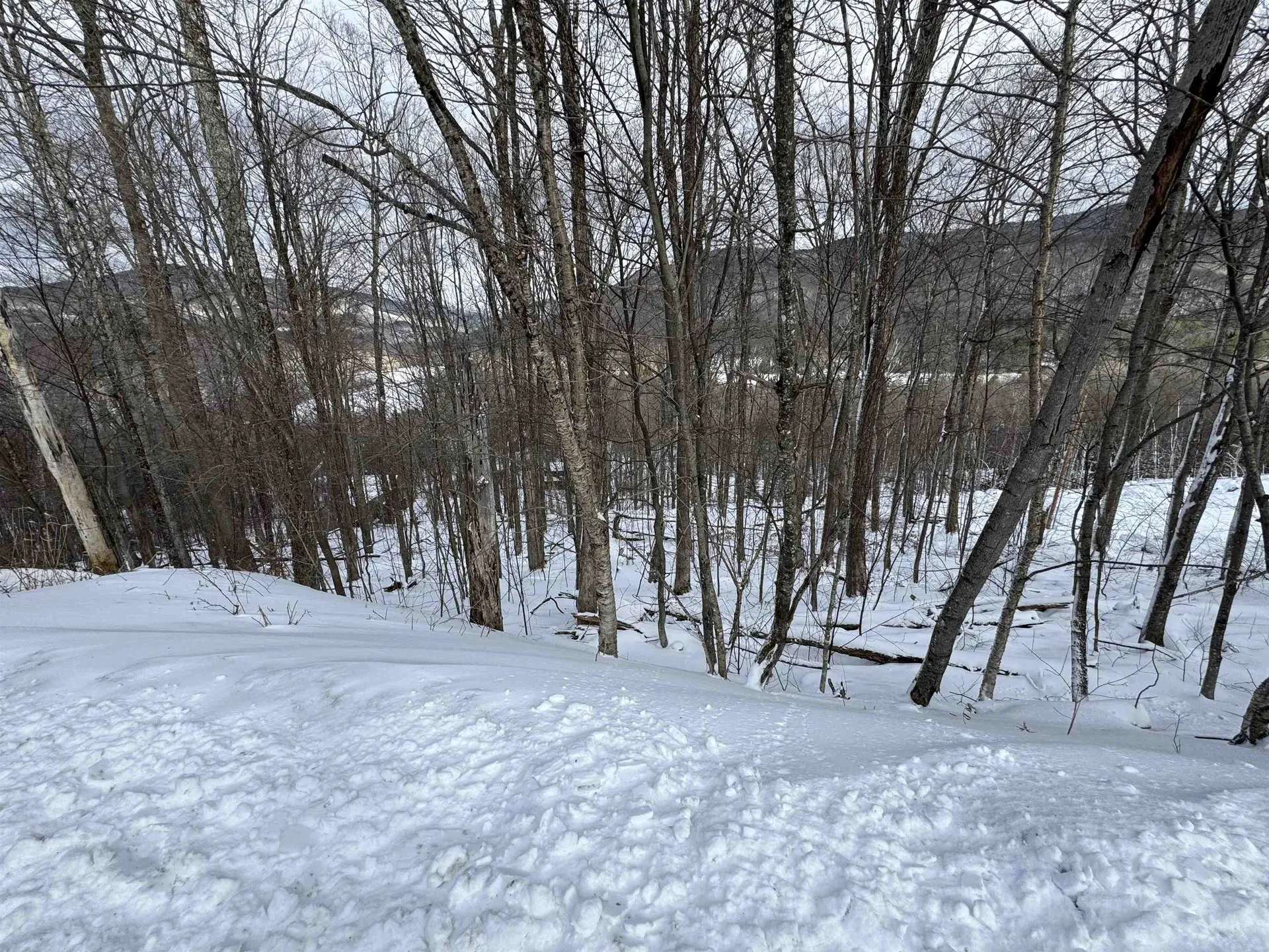 Lot 12 Barrows Towne Road Killington VT 05751