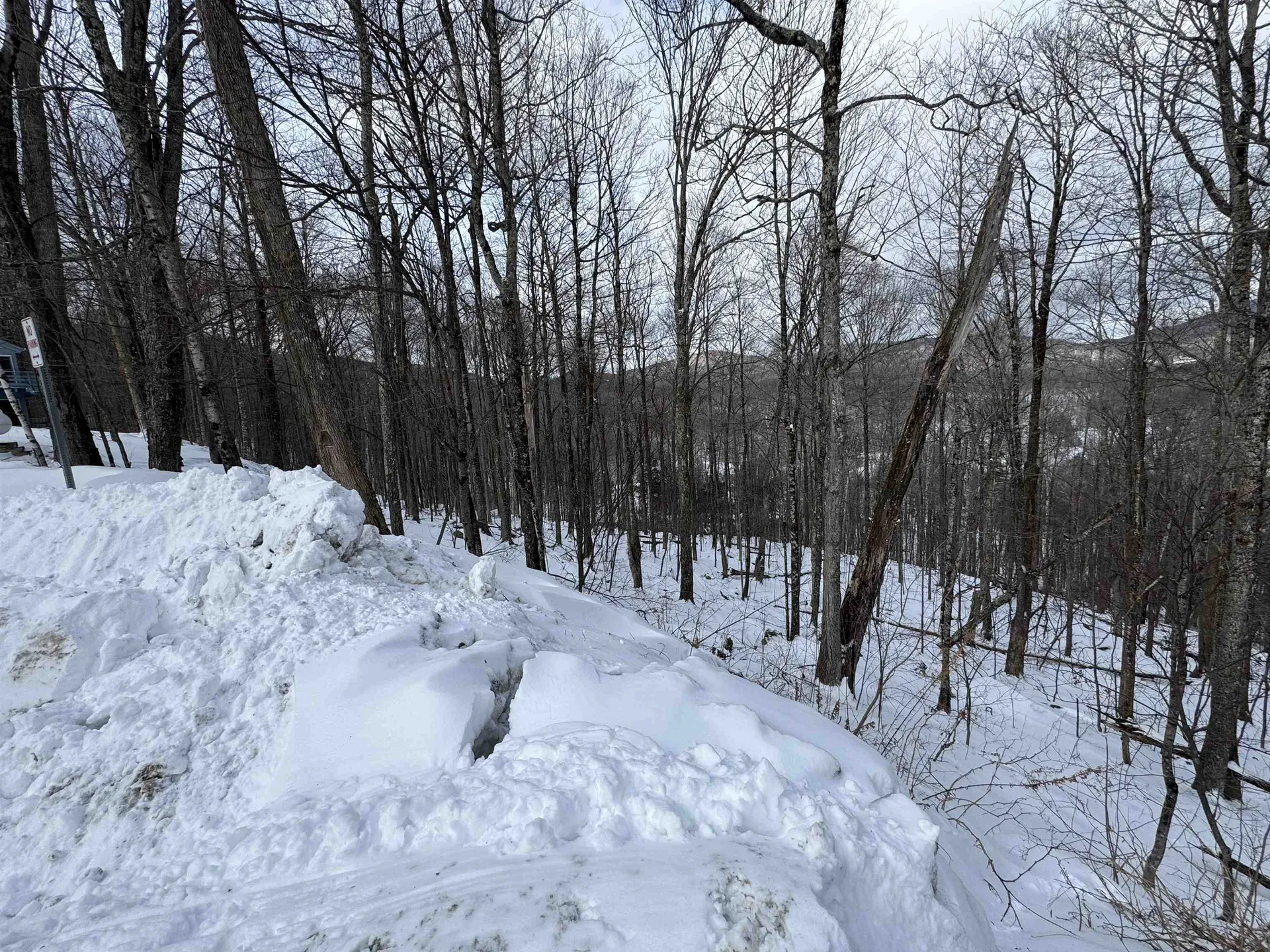 Lot 12 Barrows Towne Road Killington VT 05751