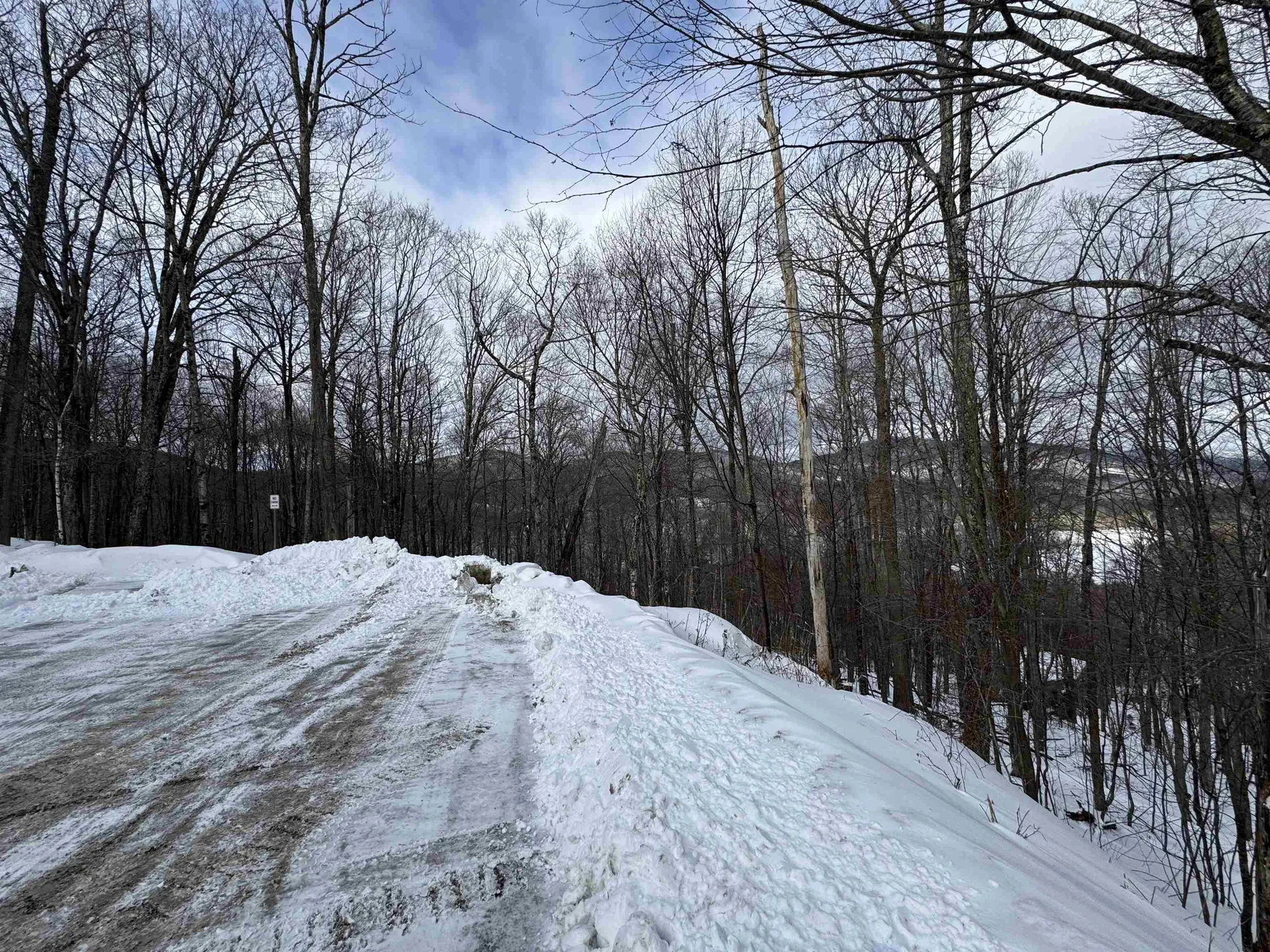 Lot 12 Barrows Towne Road Killington VT 05751