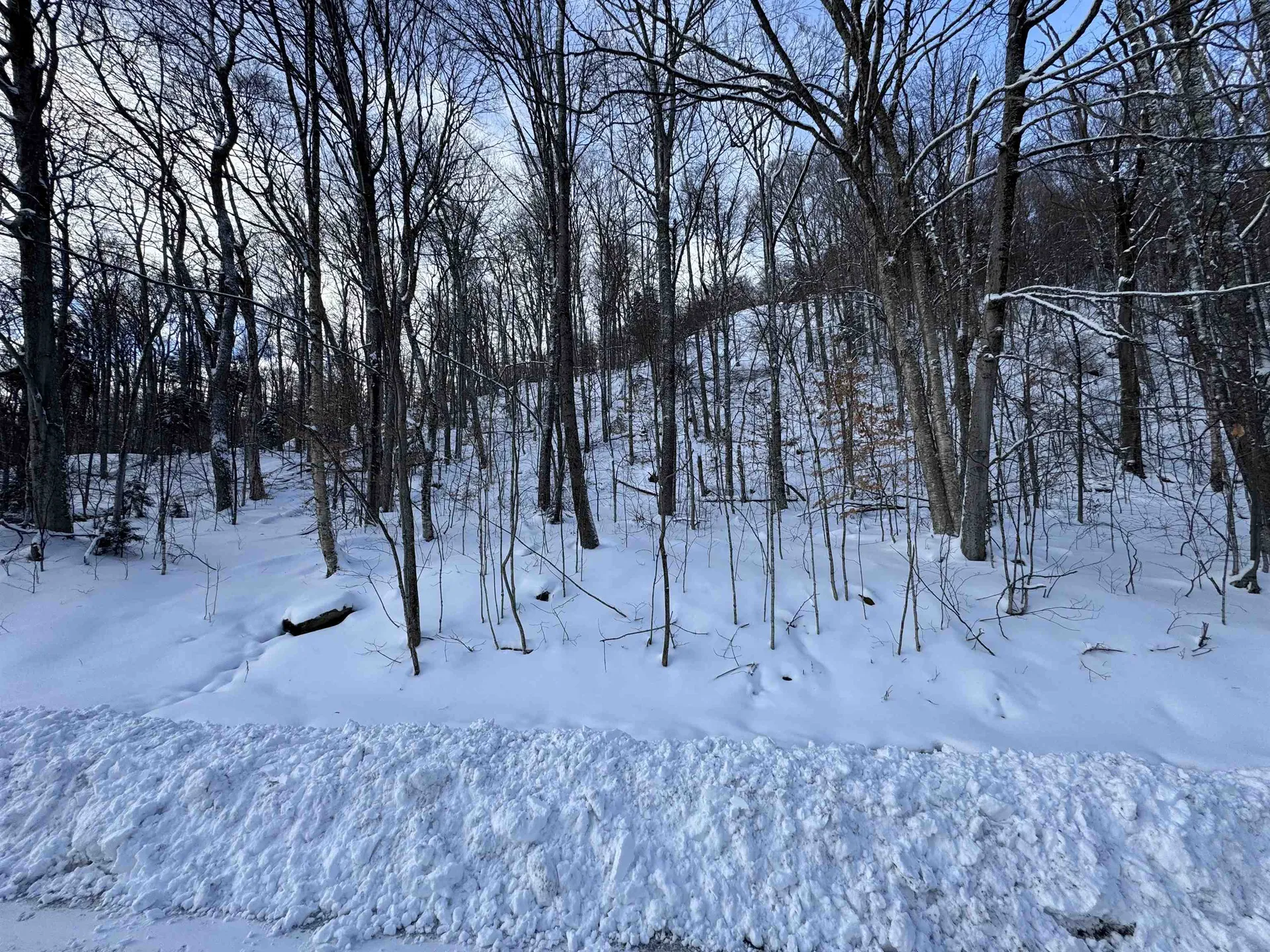 R-5 Ledge End Road Killington VT 05751