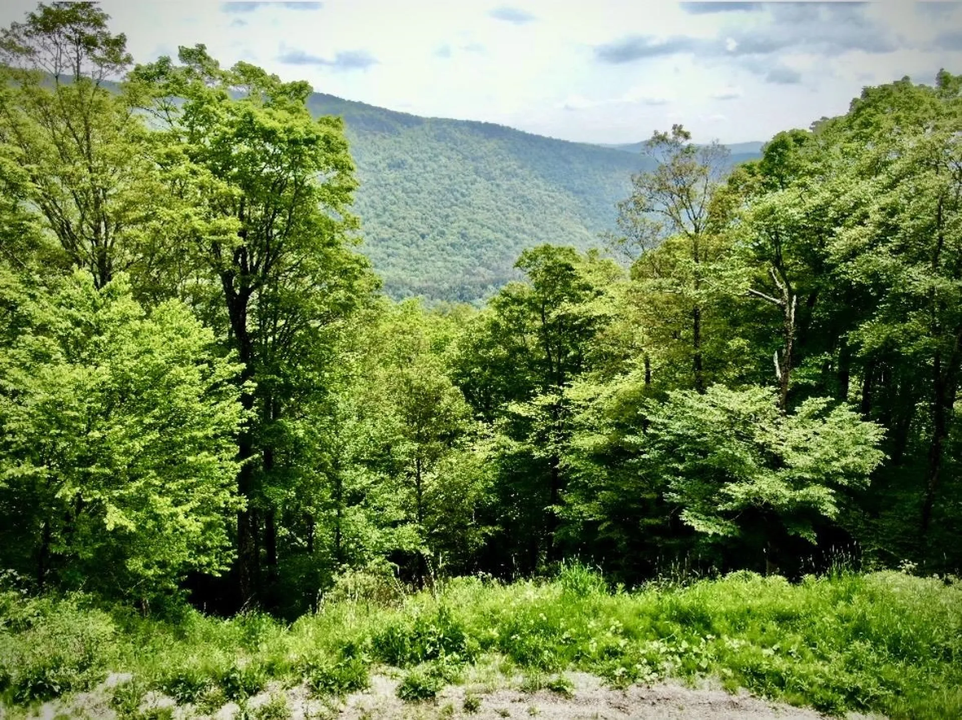 R-5 Ledge End Road Killington VT 05751