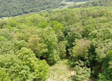 R-5 Ledge End Road Killington VT 05751