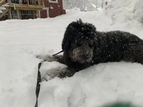 33 Andover Street Ludlow VT 05149