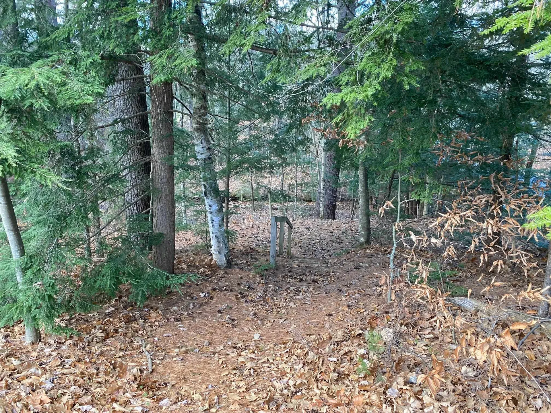 116 Pleasant View Road Bradford NH 03221