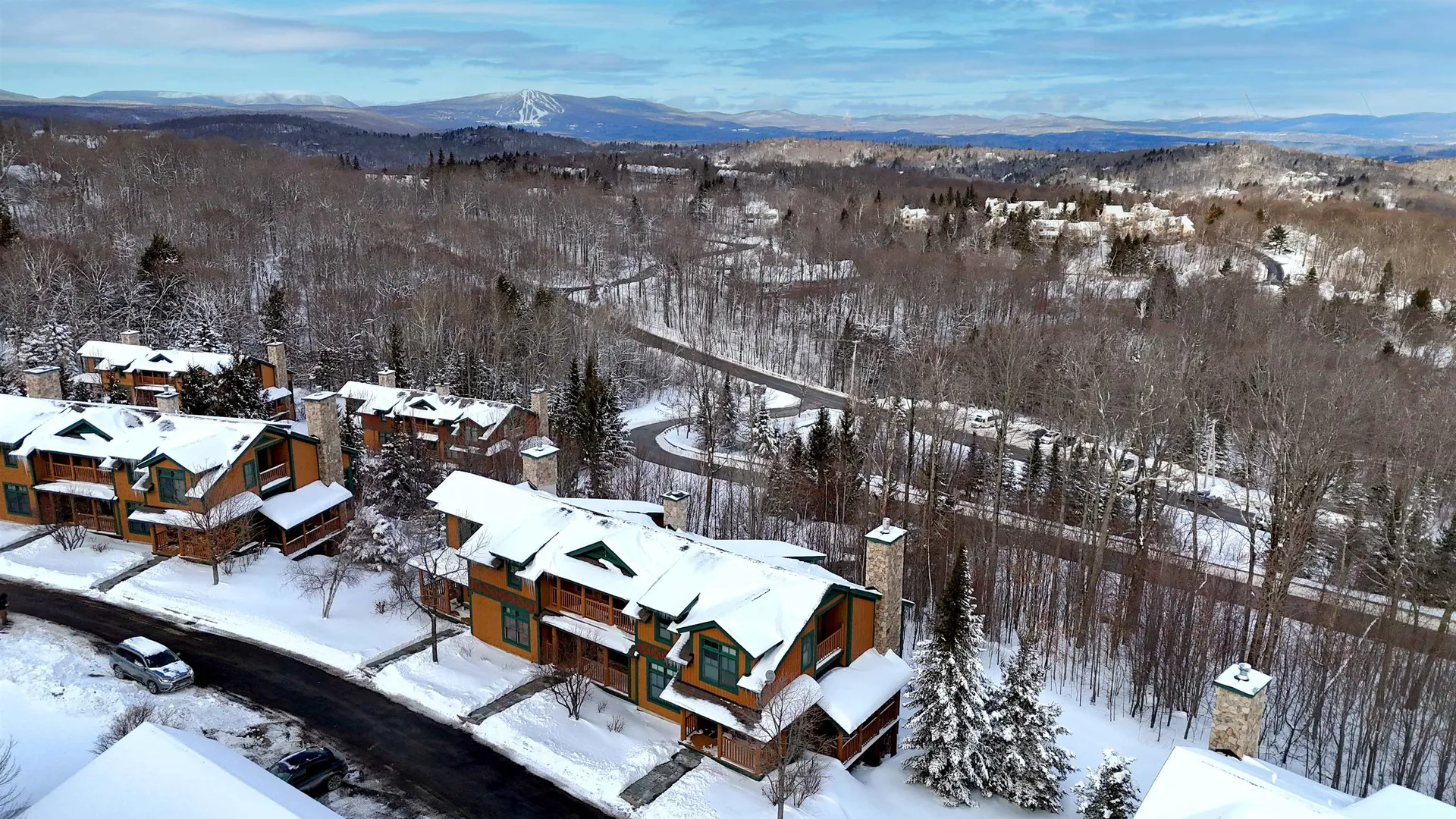 6c Cranberry Court Stratton VT 05155