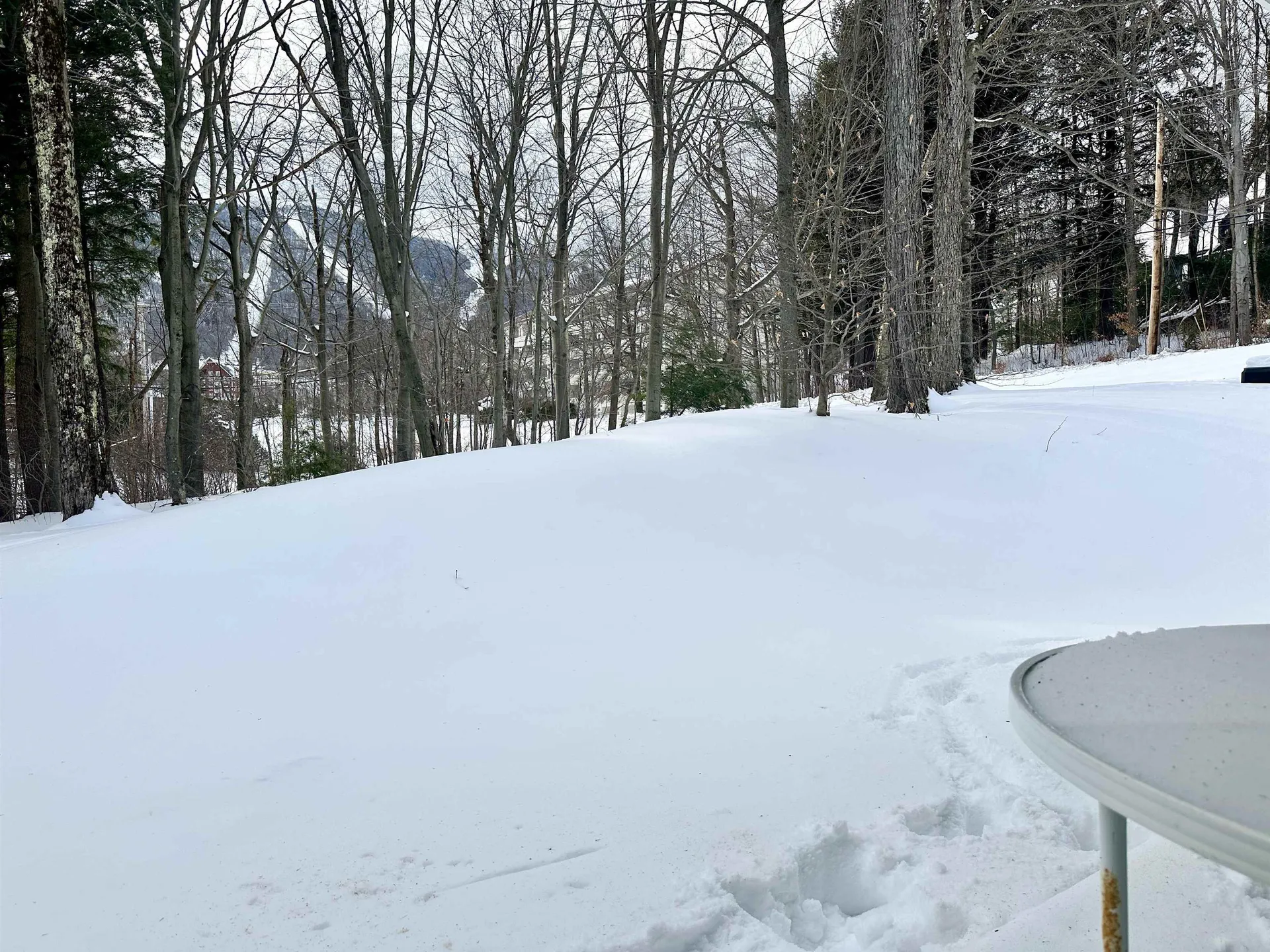 22 Glades Drive Warren VT 05674