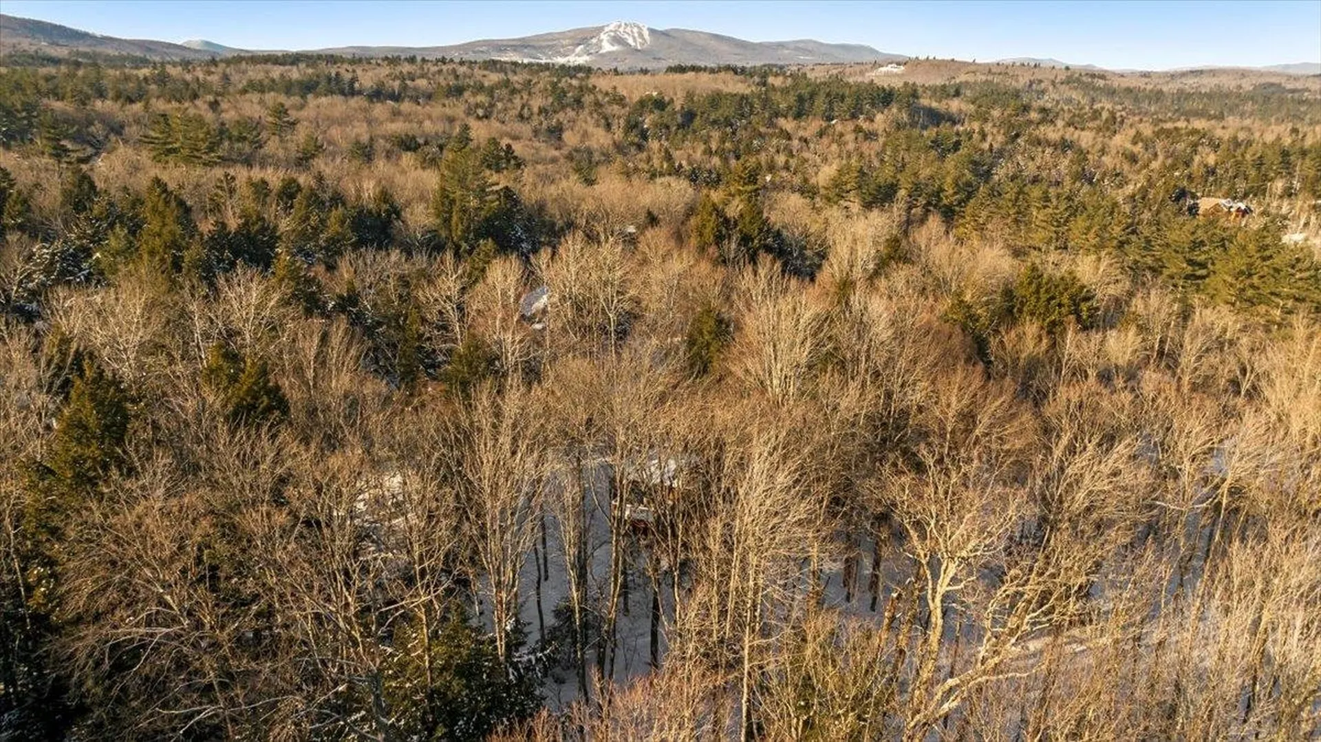 29 Burnt Hill Road Winhall VT 05340