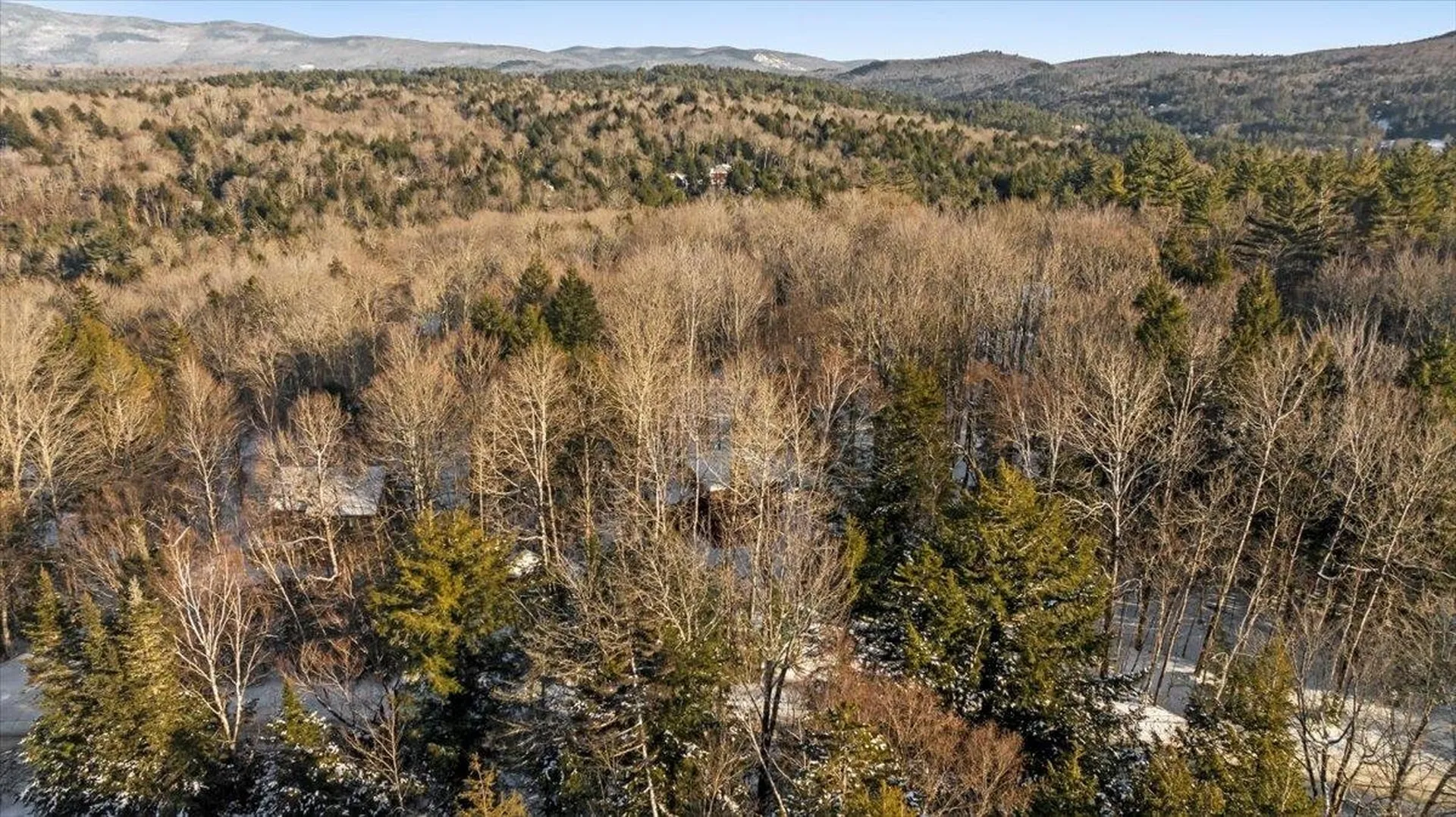 29 Burnt Hill Road Winhall VT 05340