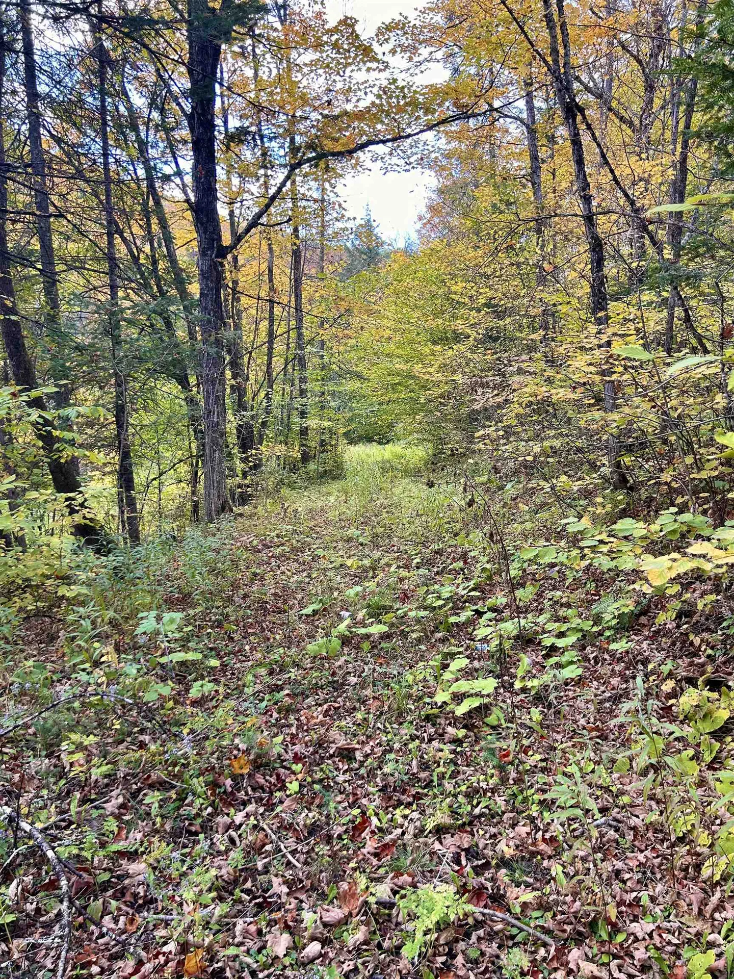 00 Washington Turnpike Chelsea VT 05038