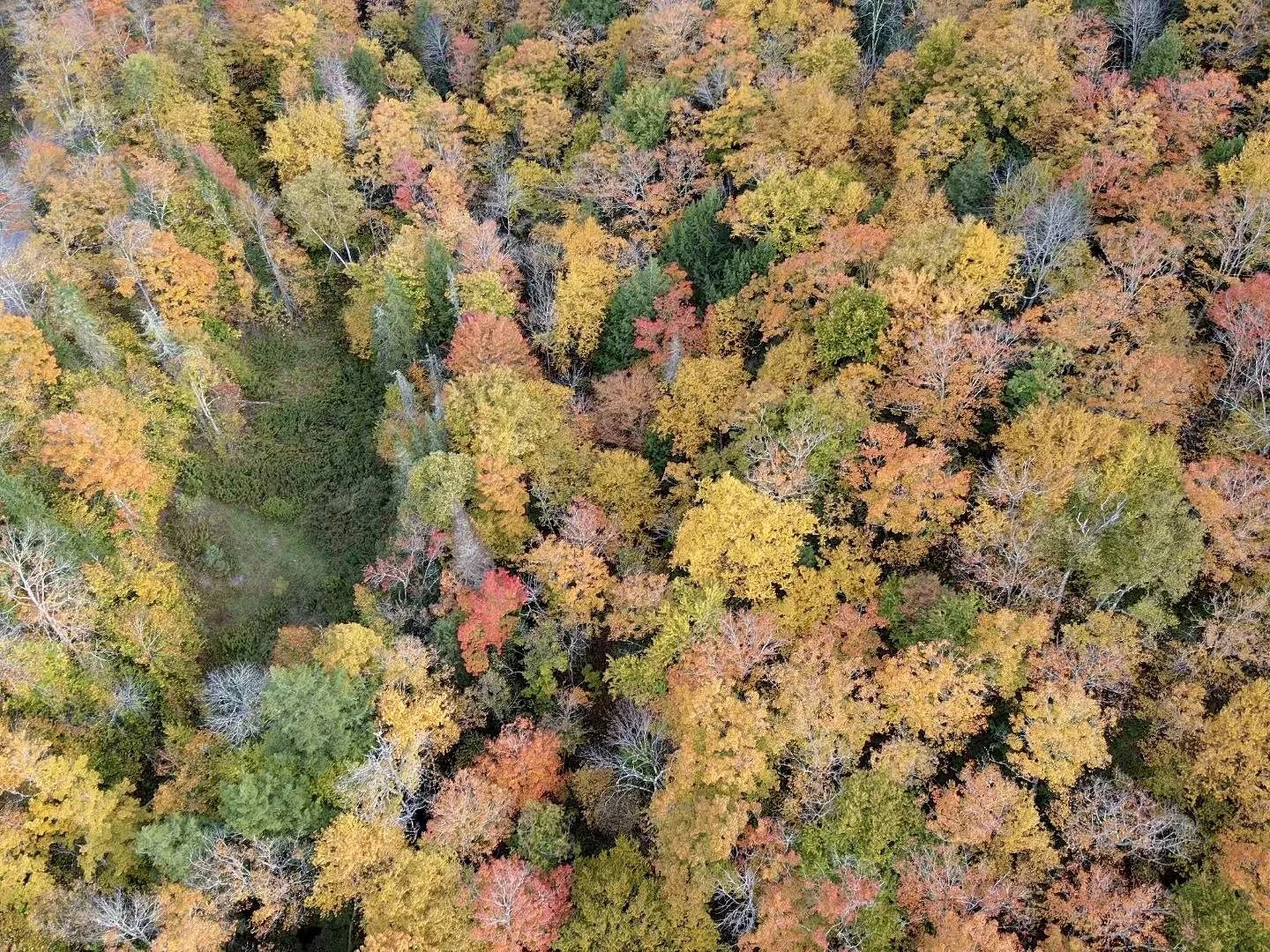 00 Washington Turnpike Chelsea VT 05038