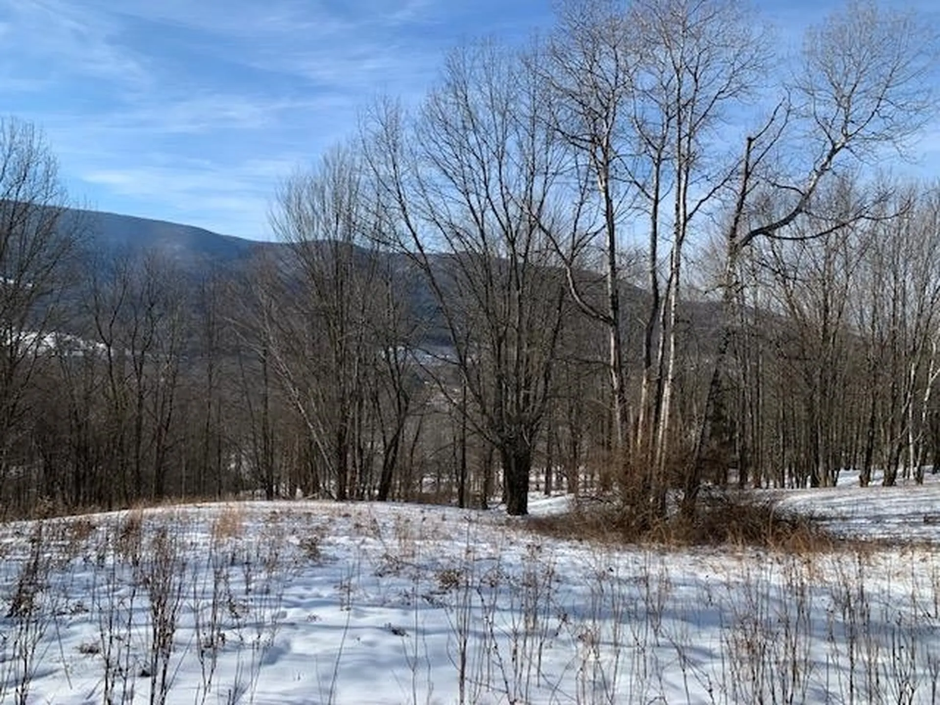 0 Us Route 7 Pownal VT 05261