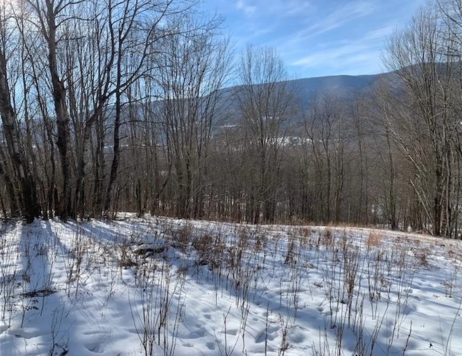 0 Us Route 7 Pownal VT 05261