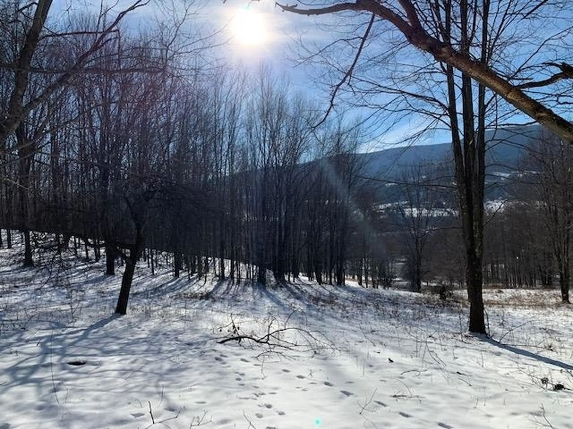 0 Us Route 7 Pownal VT 05261