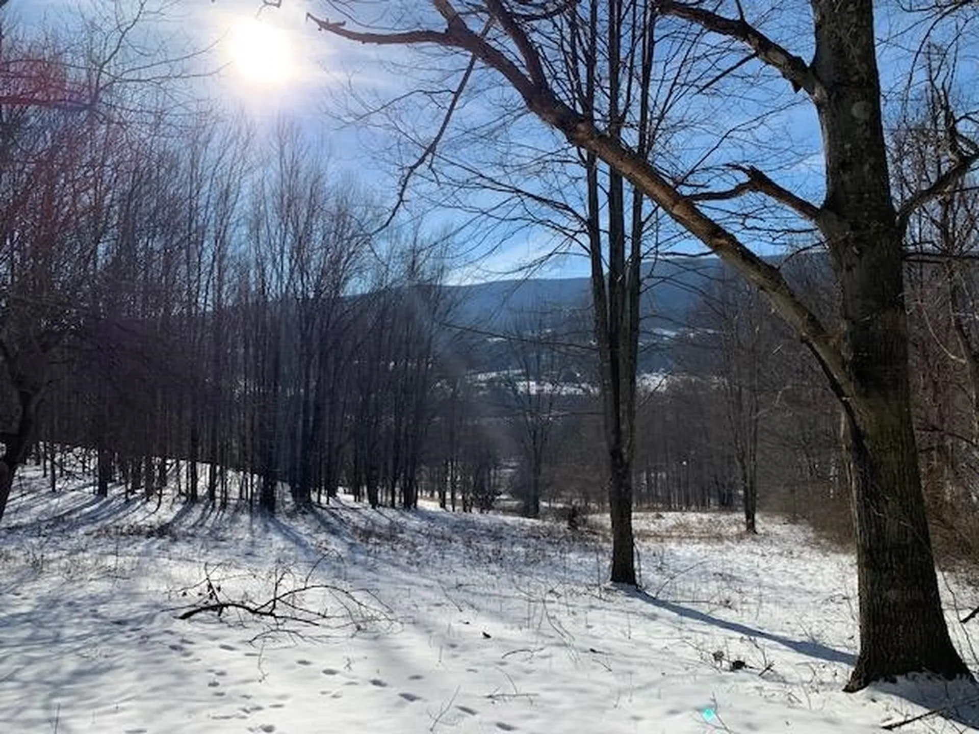 0 Us Route 7 Pownal VT 05261