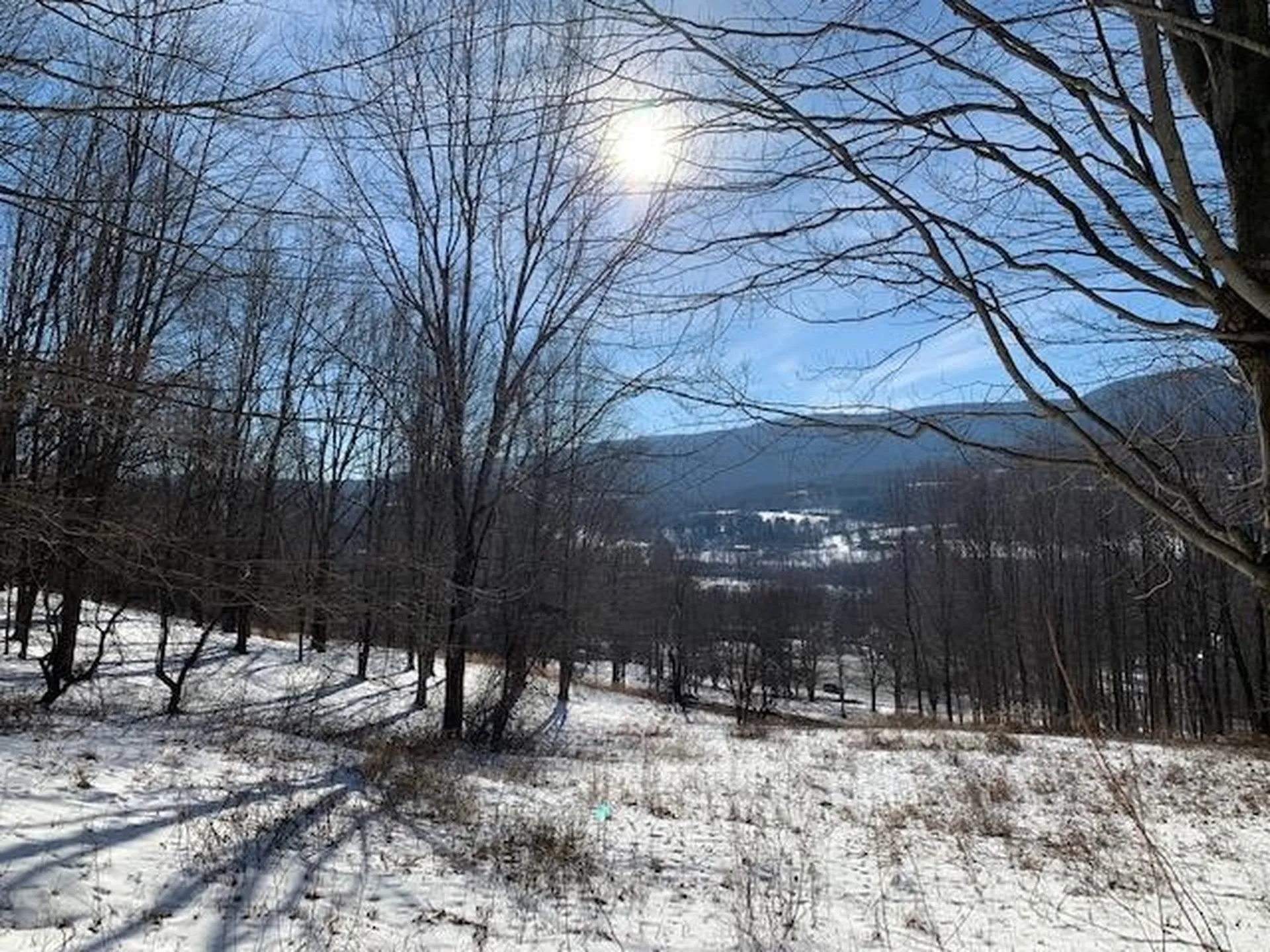 0 Us Route 7 Pownal VT 05261