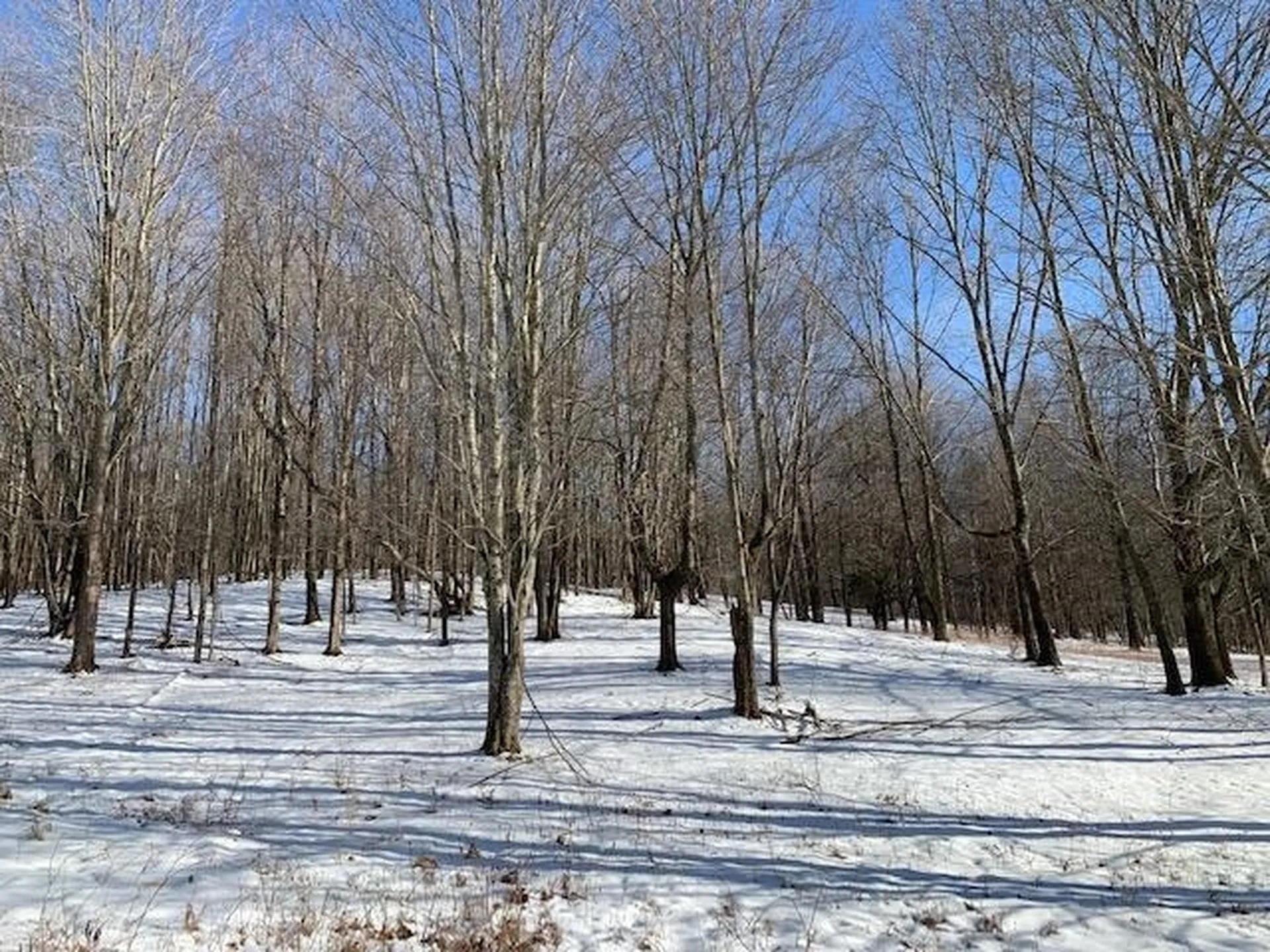 0 Us Route 7 Pownal VT 05261