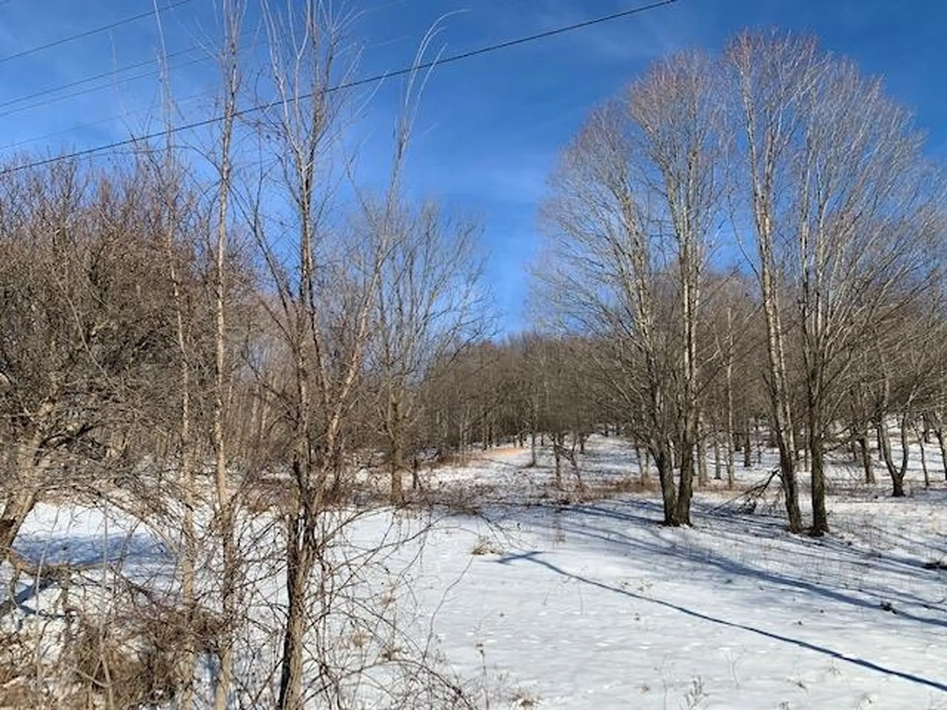 0 Us Route 7 Pownal VT 05261