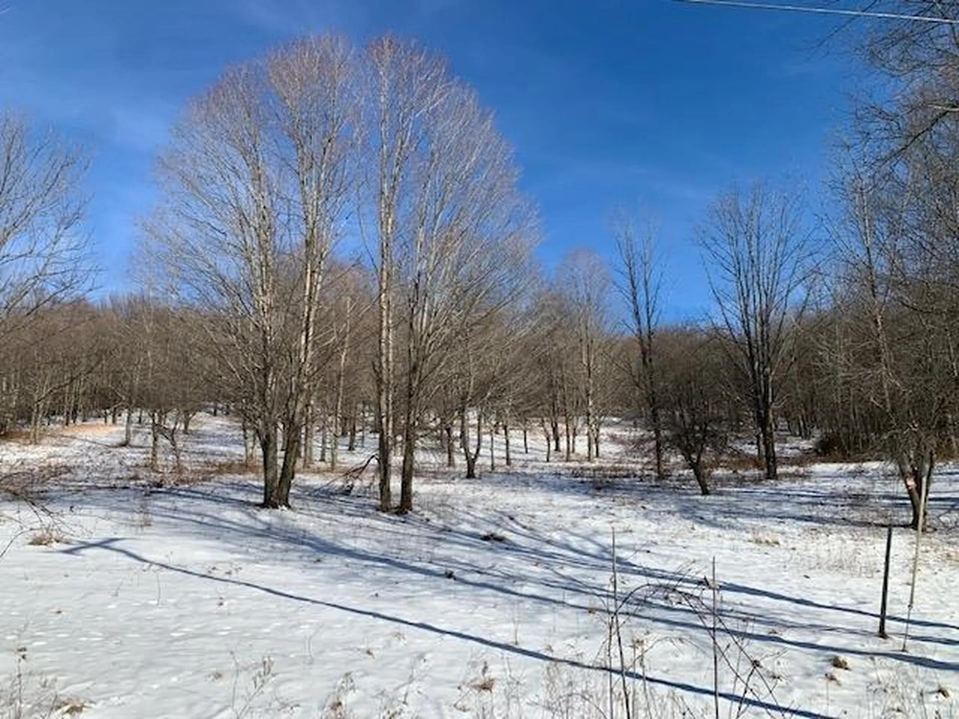 0 Us Route 7 Pownal VT 05261