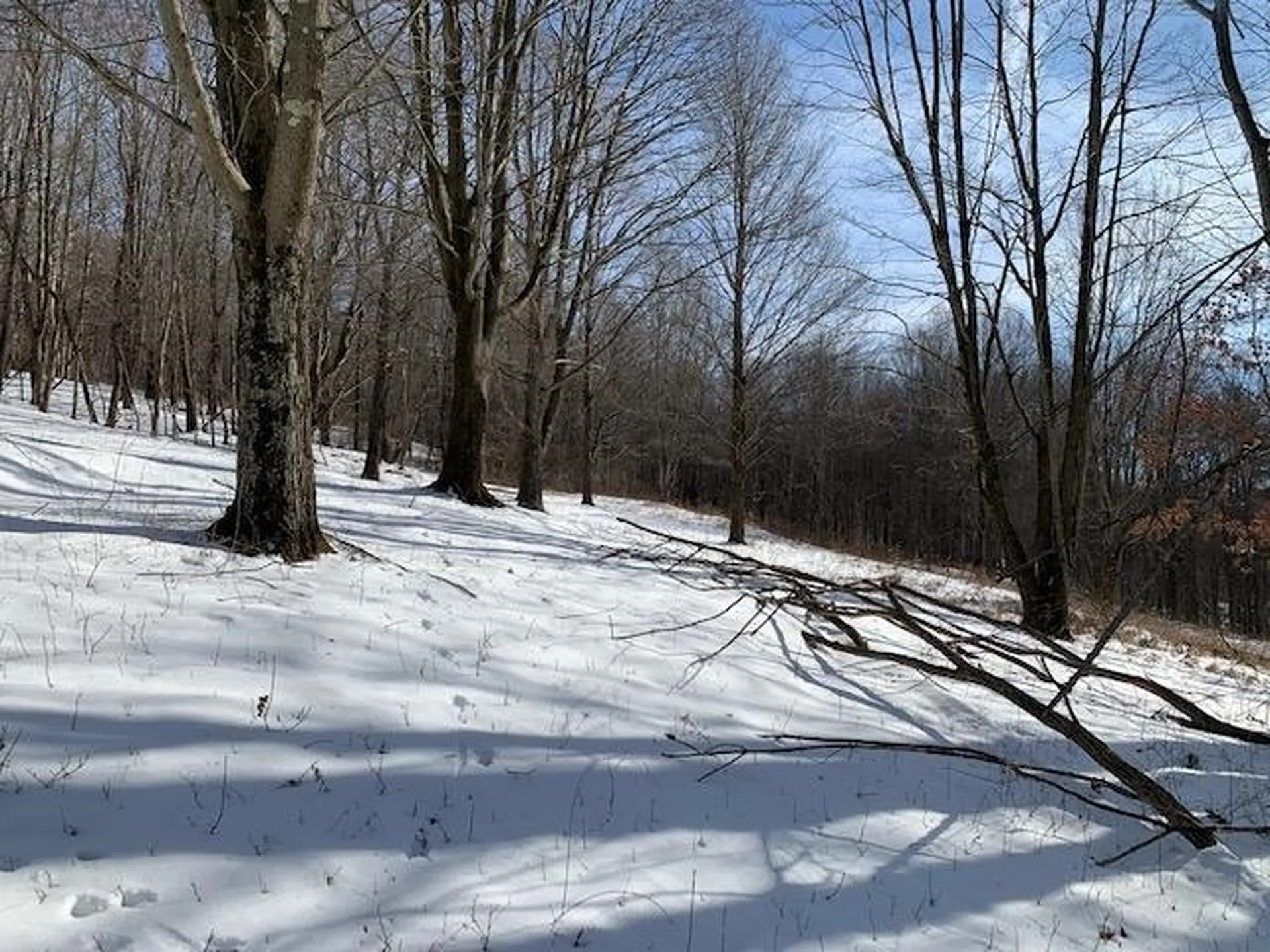 0 Us Route 7 Pownal VT 05261