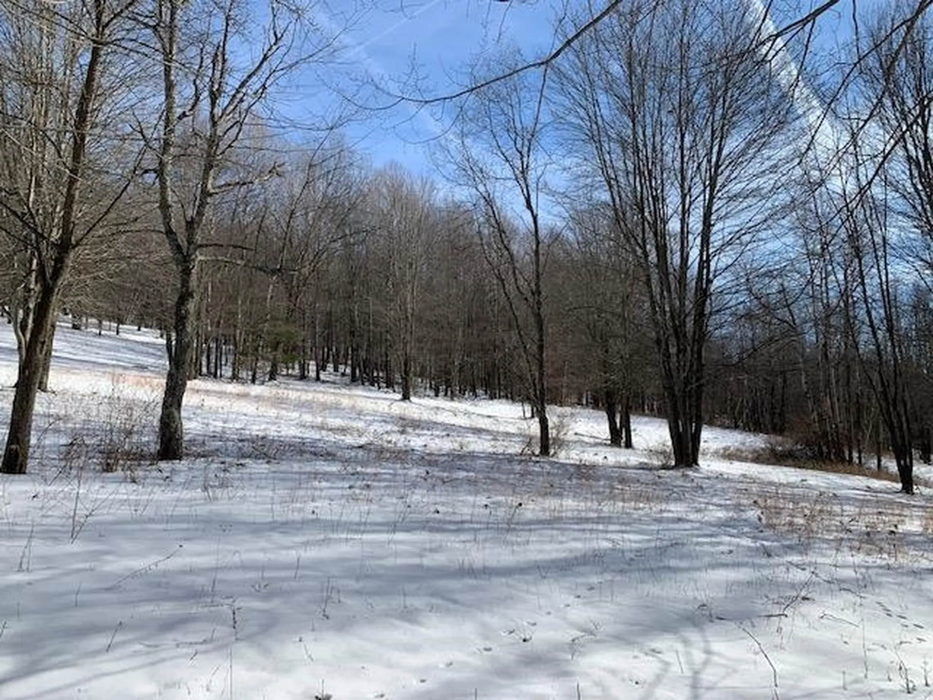 0 Us Route 7 Pownal VT 05261