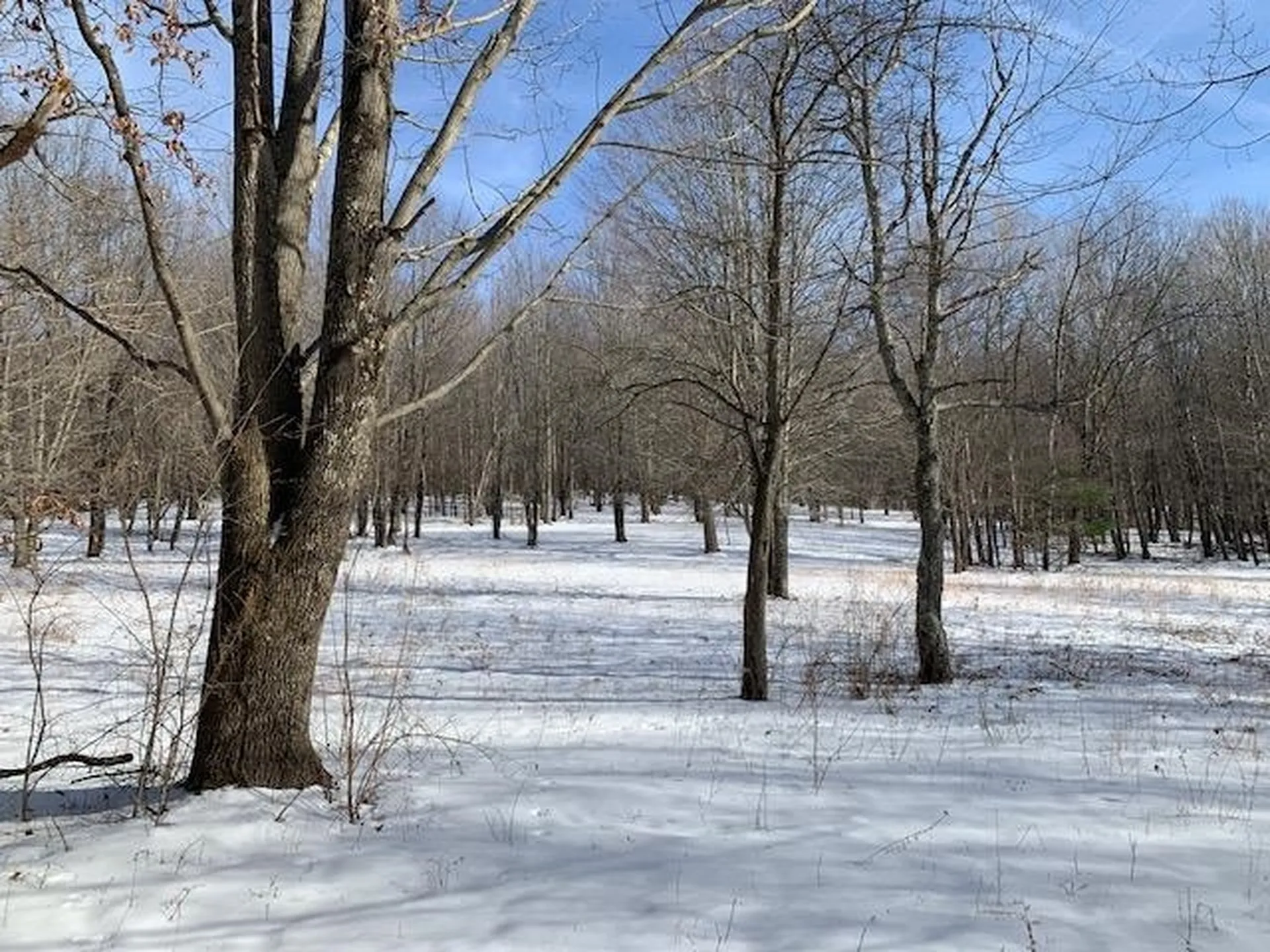 0 Us Route 7 Pownal VT 05261