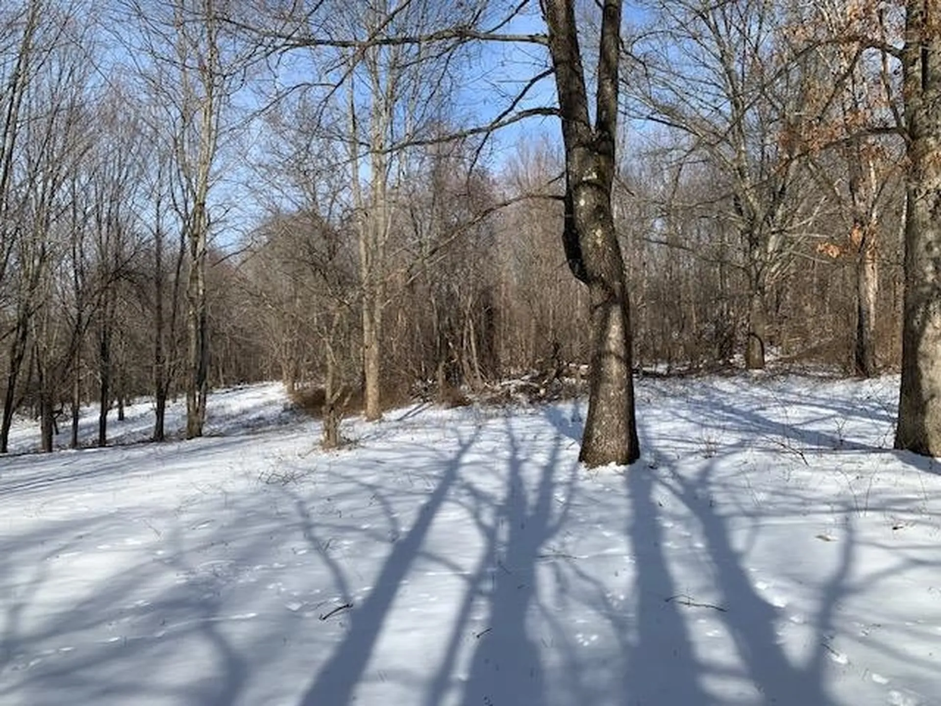 0 Us Route 7 Pownal VT 05261