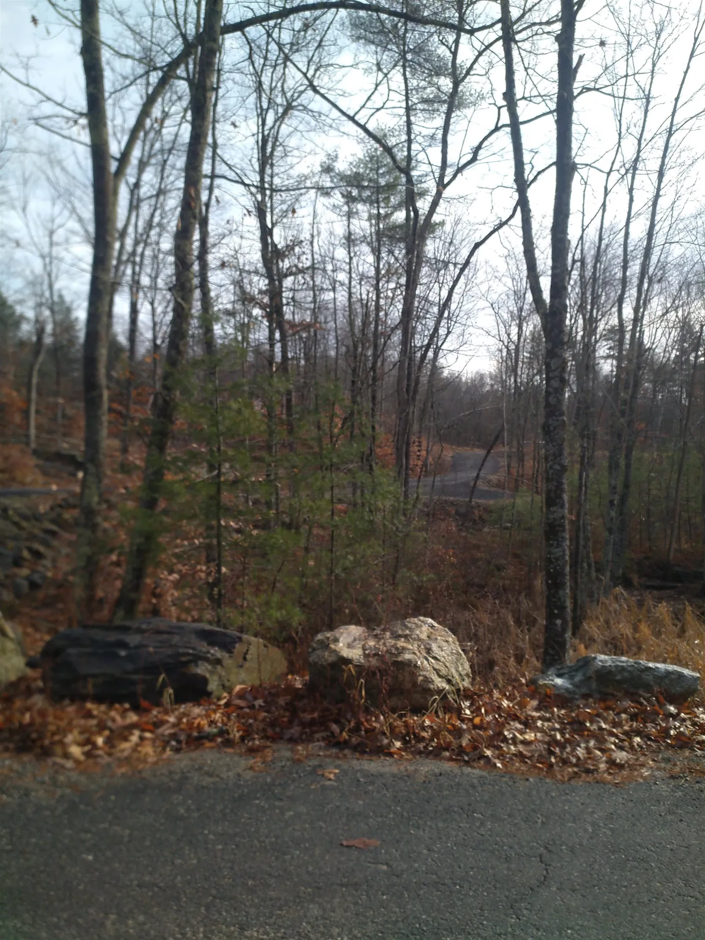 80 Castle Rock Road Barrington NH 03825