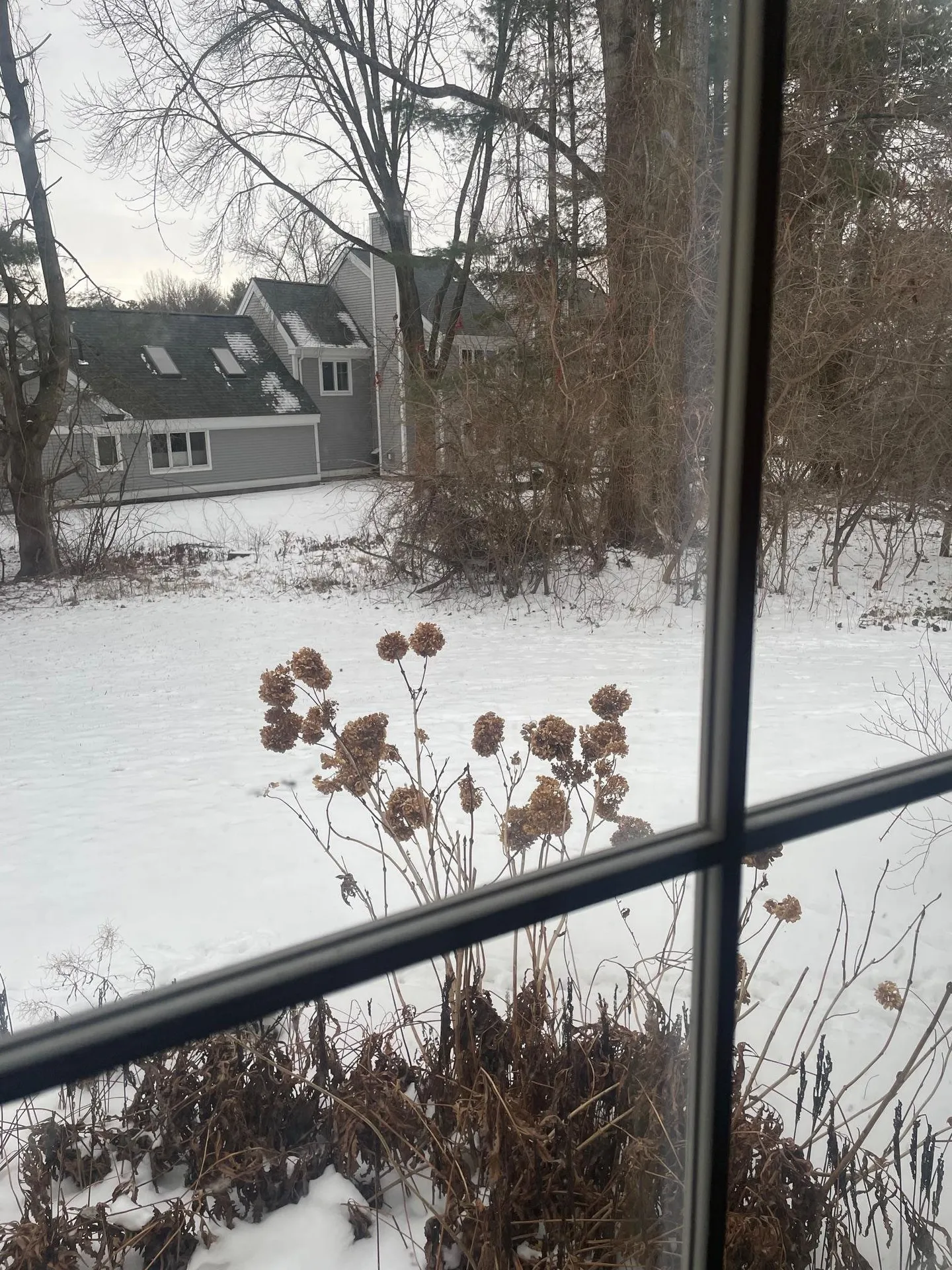 17 Eastman Farm Road Burlington VT 05401