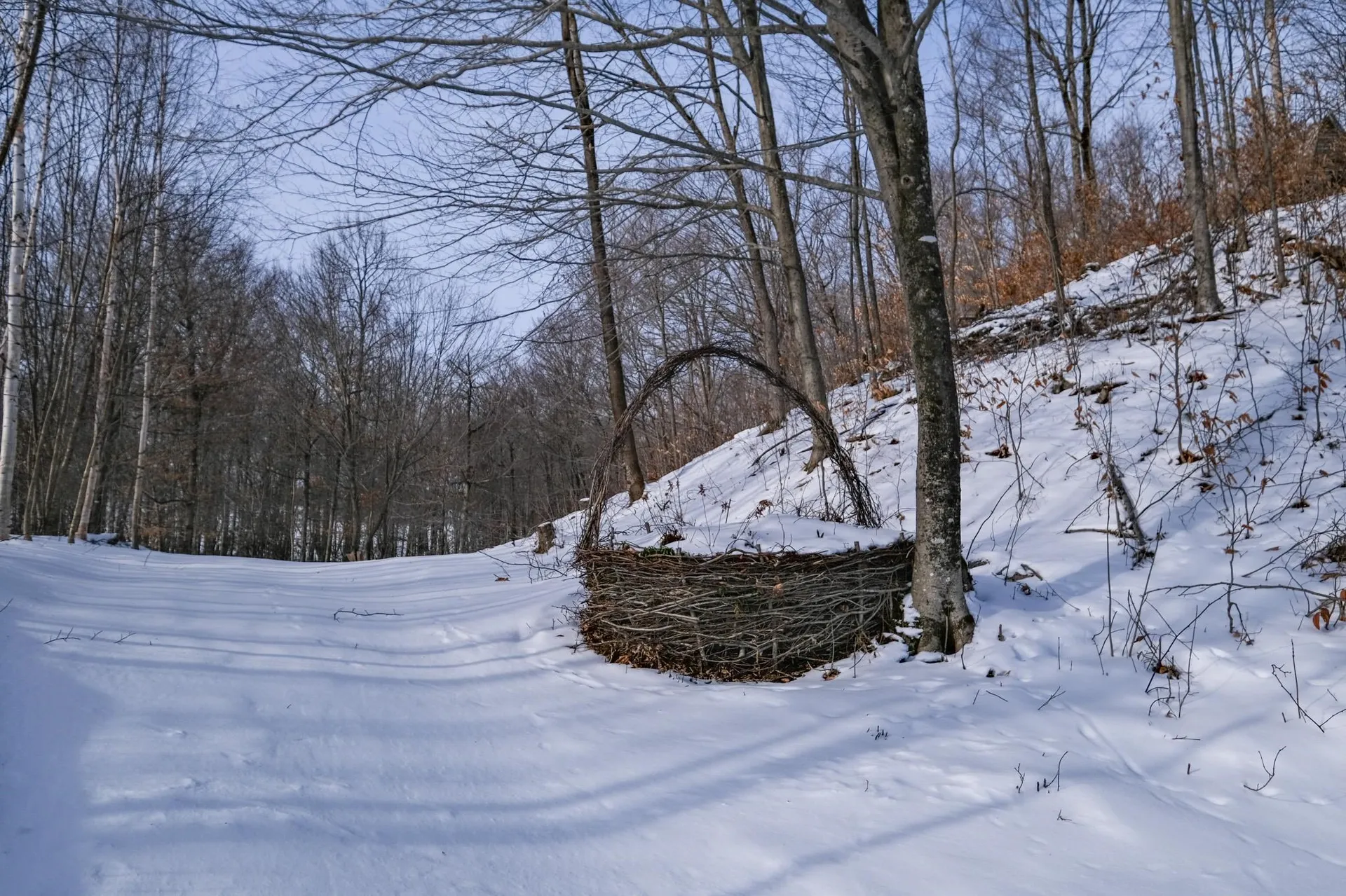 6293 Route 106 Reading VT 05062