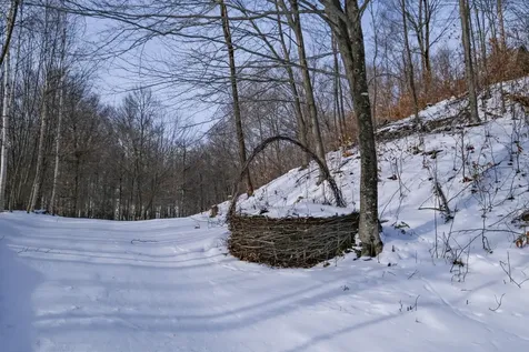 6293 Route 106 Reading VT 05062