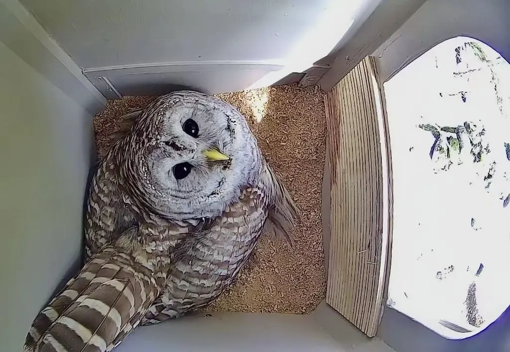 85 Contoocook Lane Peterborough NH 03458