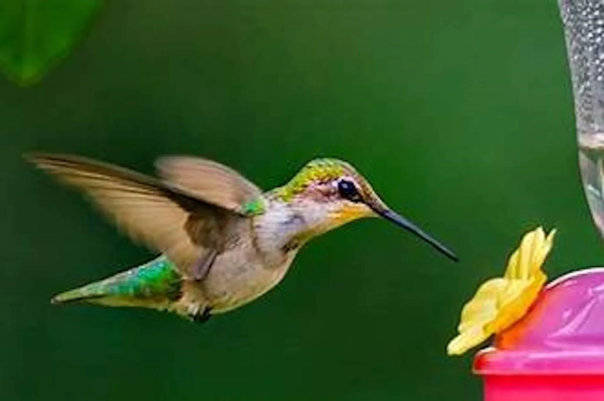 85 Contoocook Lane Peterborough NH 03458