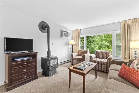 220 Mountainside Drive Stowe VT 05672