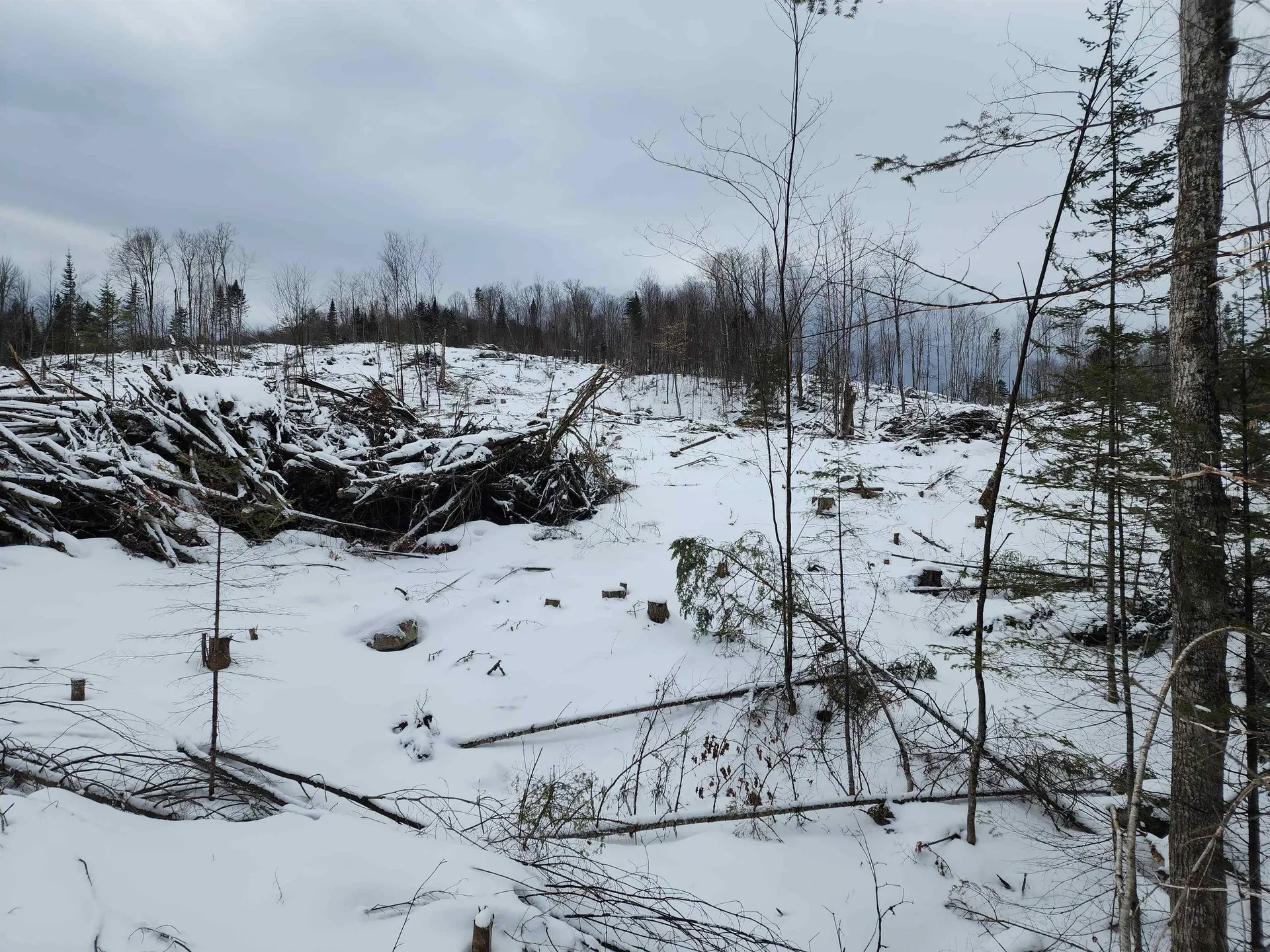 200a Berlin Road Errol NH 03579