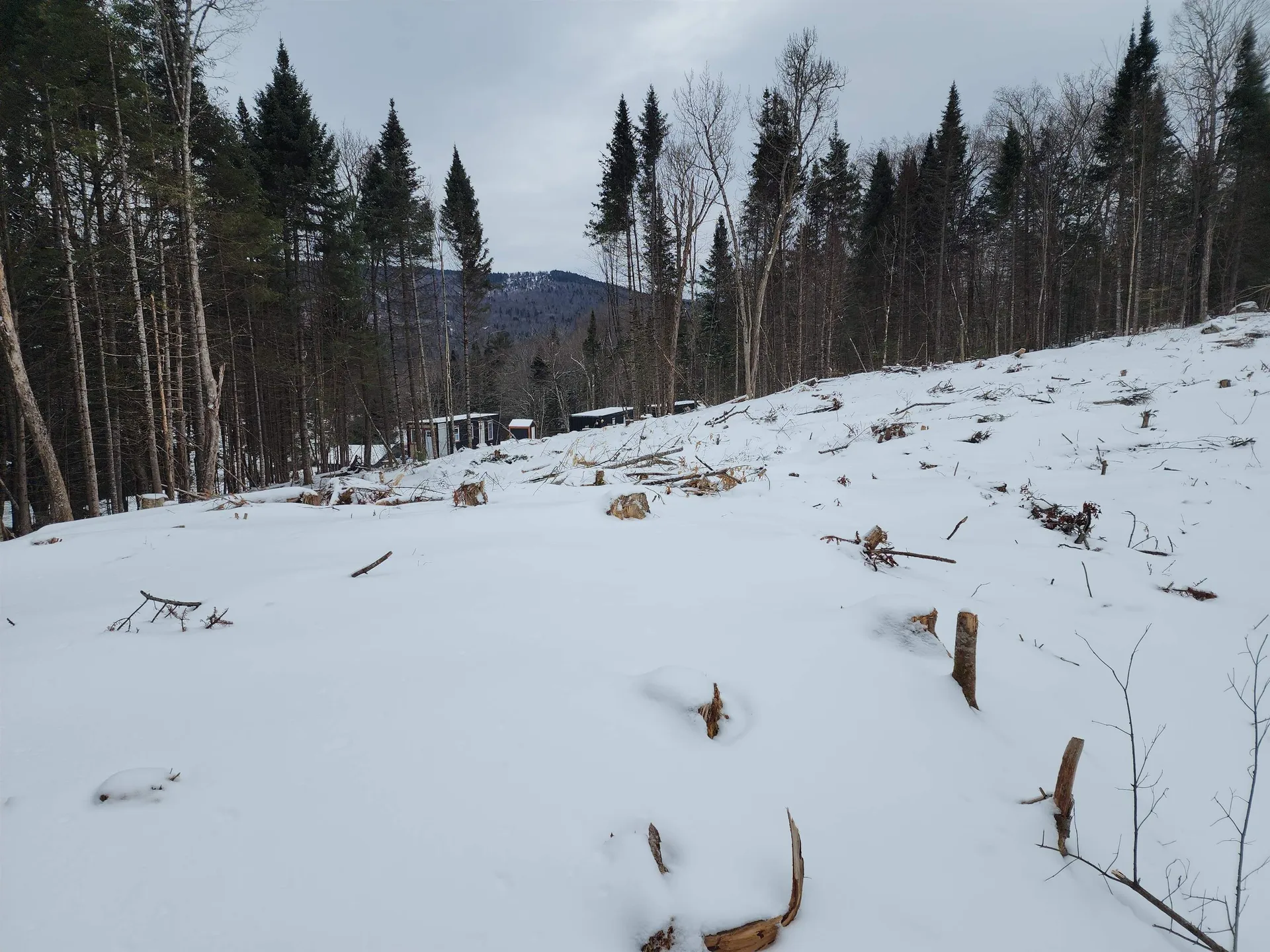 200a Berlin Road Errol NH 03579