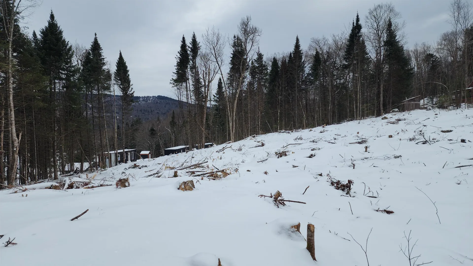 200a Berlin Road Errol NH 03579