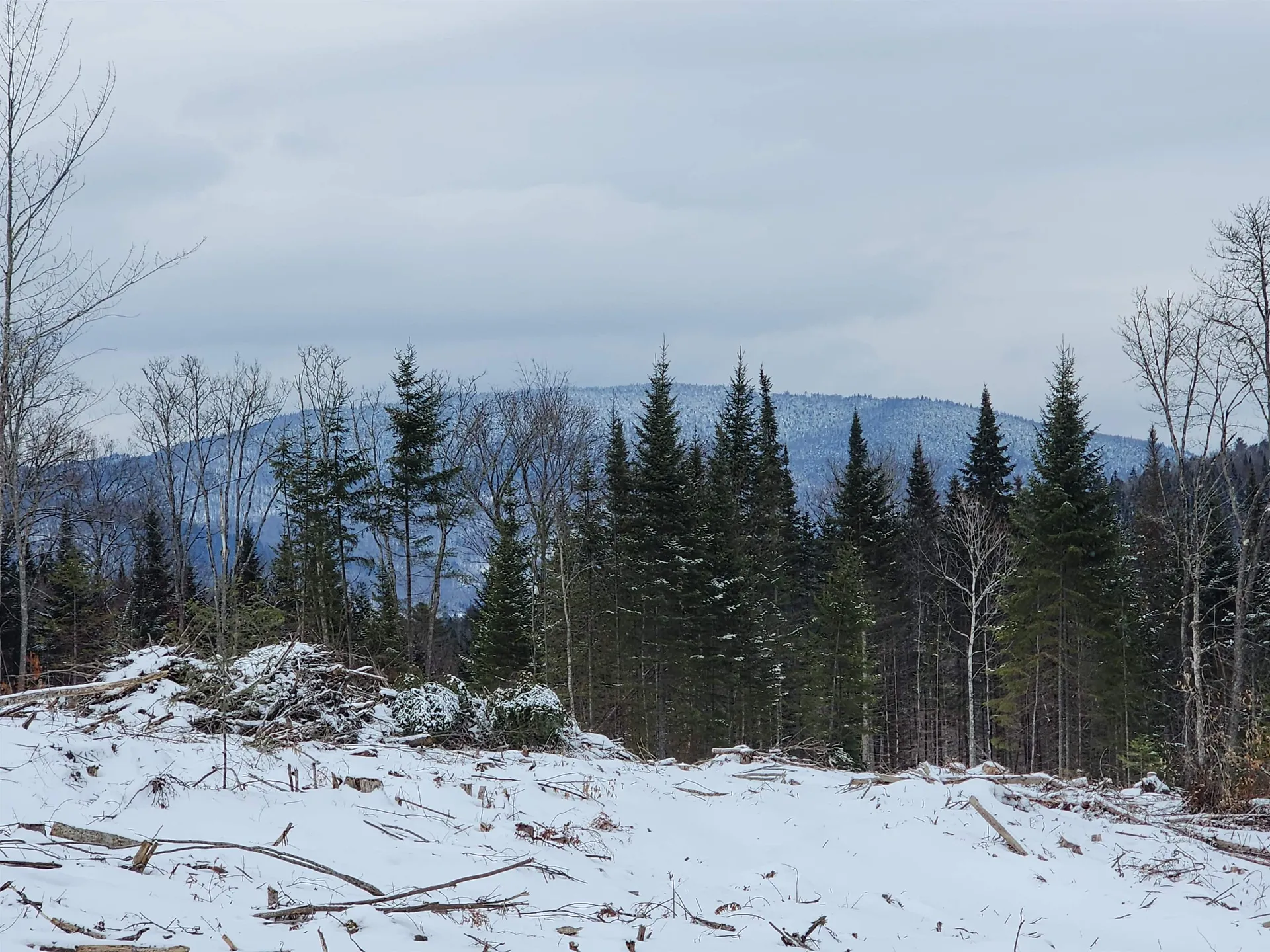 200a Berlin Road Errol NH 03579